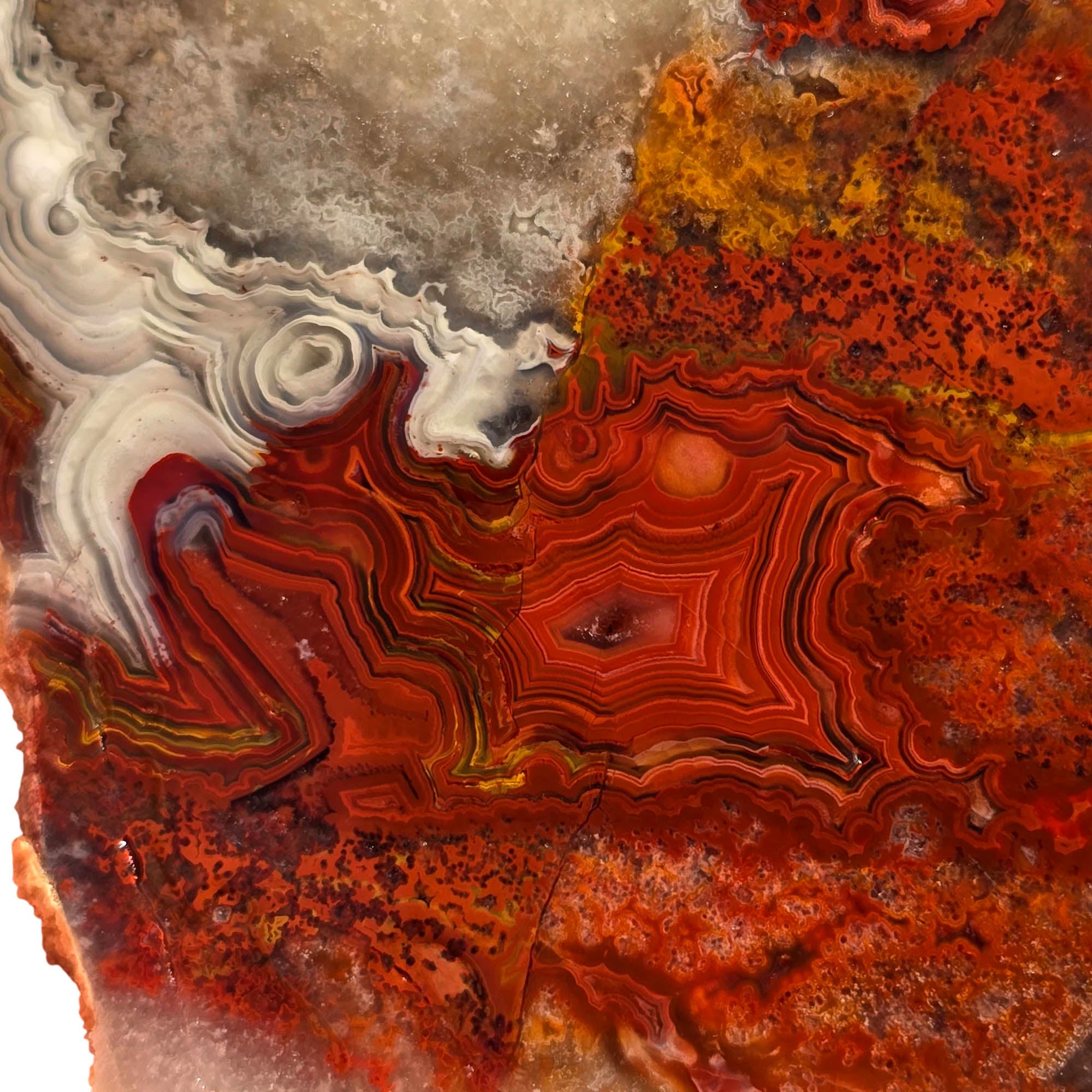 Laguna Lace Agate Slab – Tight Red Banding Premium Cabochon! #3716-Photo2