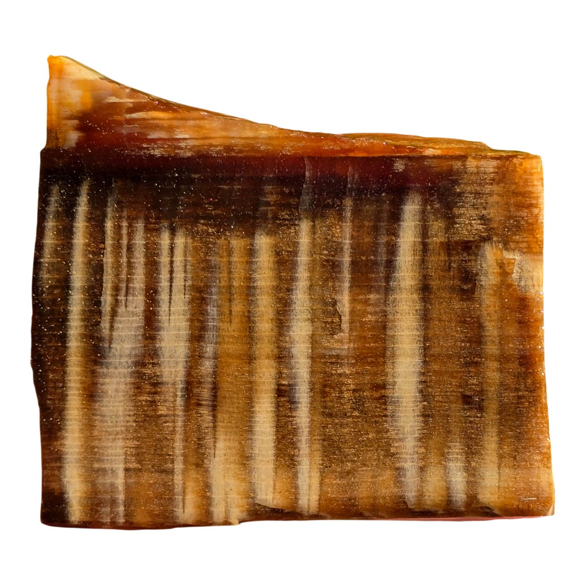 Badger Pocket Petrified Wood Slab – Rare 1940s Sycamore Pattern #3718-Photo2