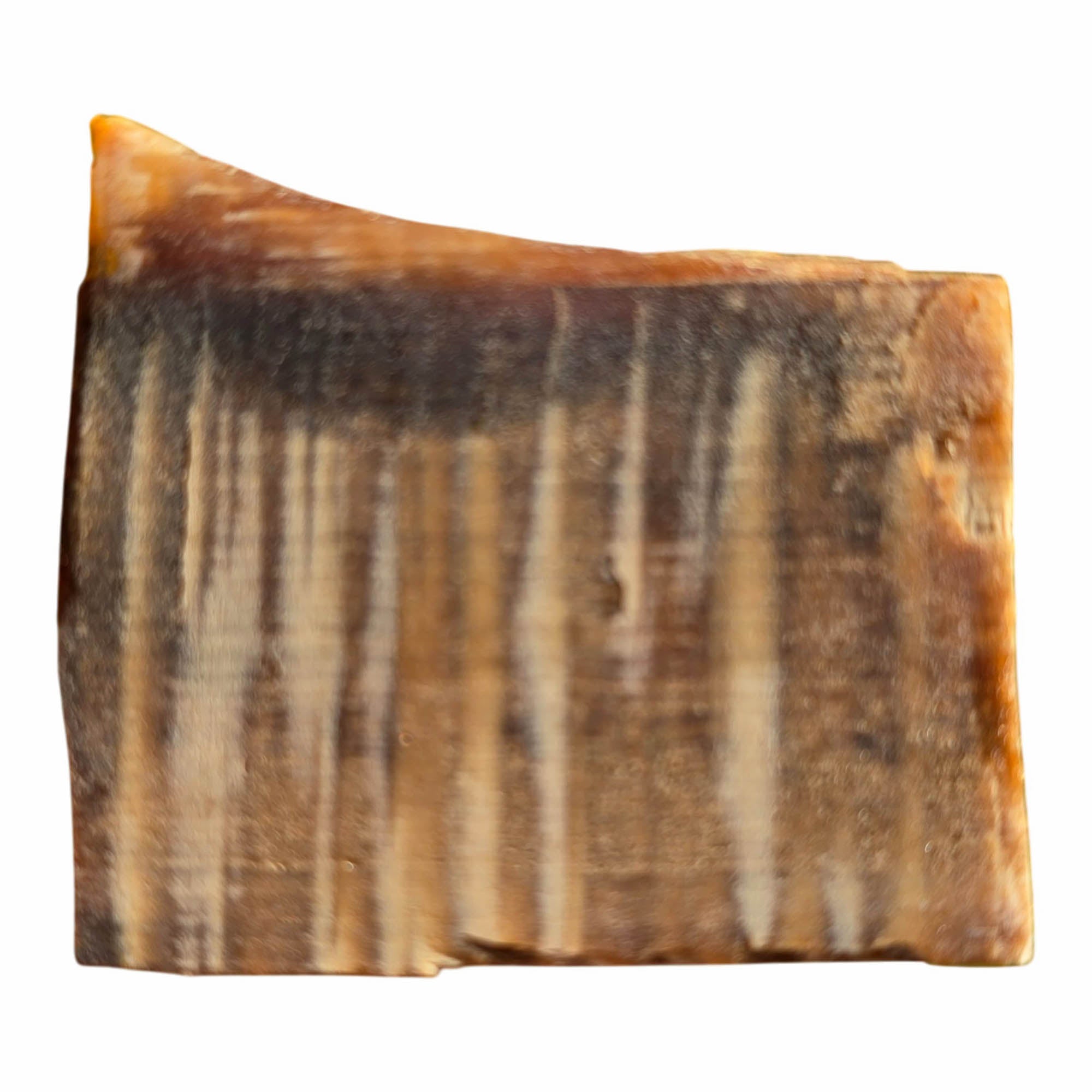 Badger Pocket Petrified Wood Slab Dry – Rare 1940s Sycamore Pattern #3718-Photo5