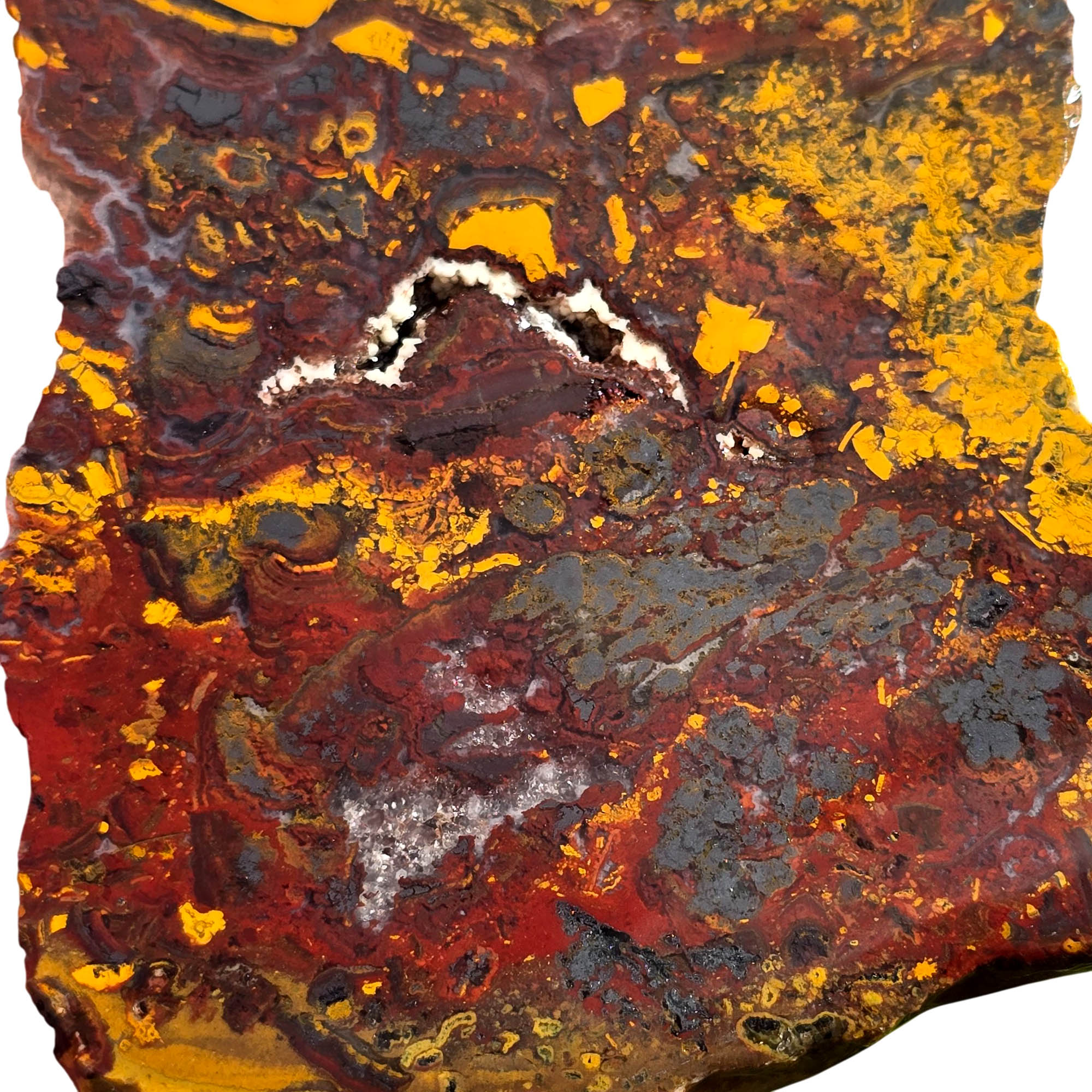 Apple Valley Jasper Slab - Hematite Flowers Red Gold Stromatolite #3719-Photo2