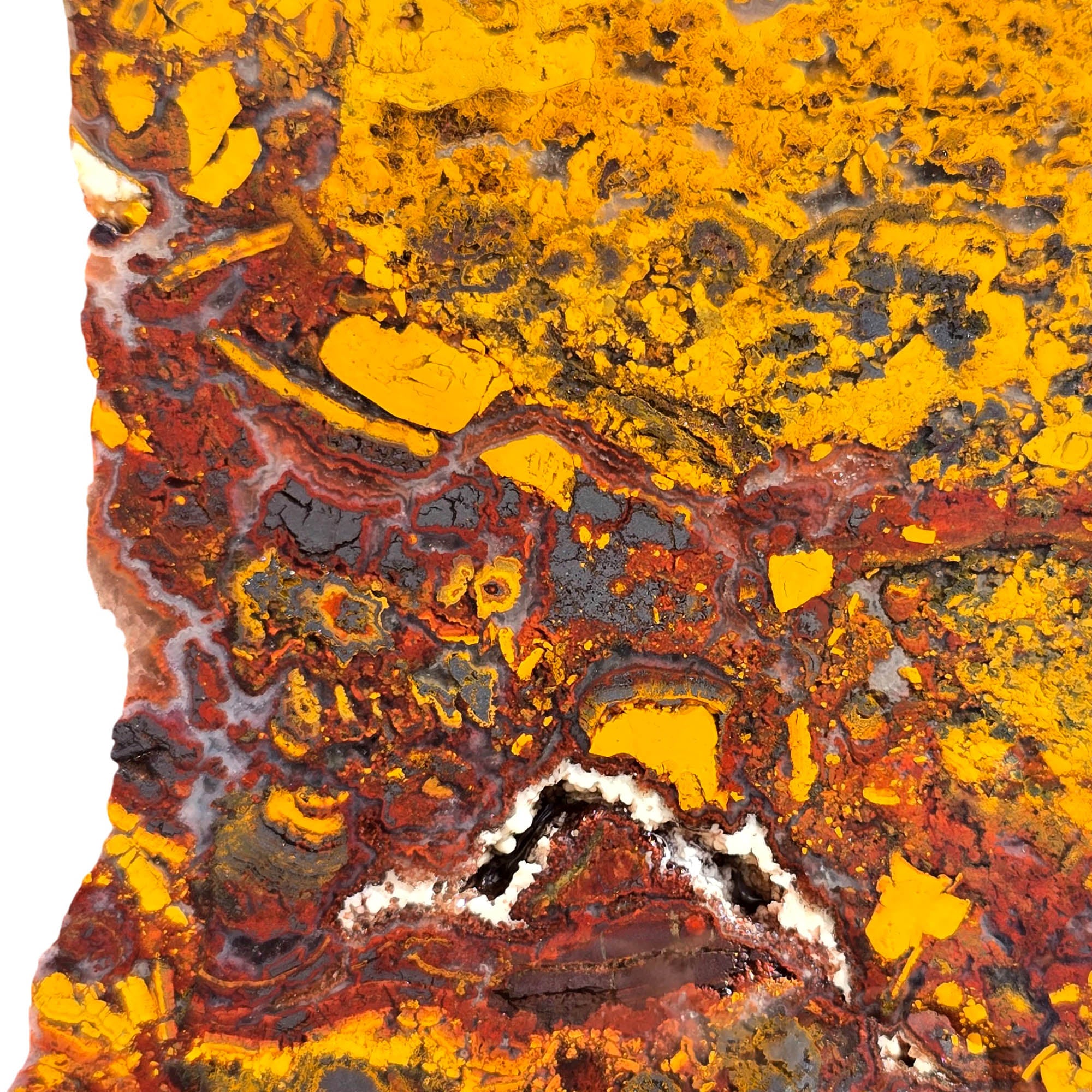 Apple Valley Jasper Slab - Hematite Flowers Red Gold Stromatolite #3719-Photo3