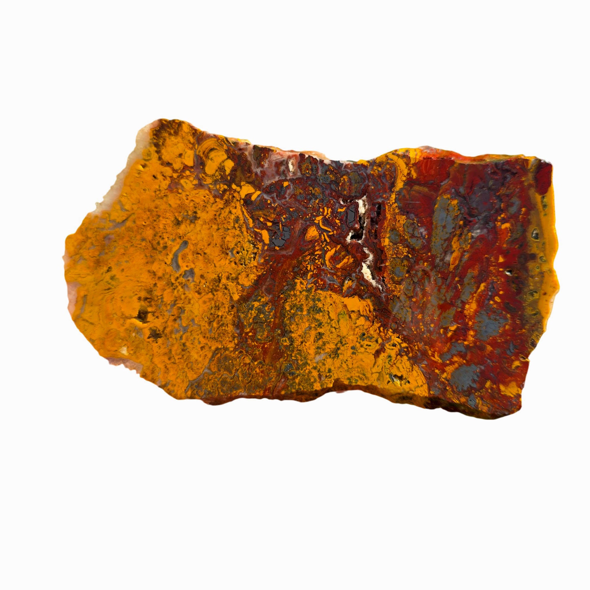 Apple Valley Jasper Slab - Hematite Flowers Red Gold Stromatolite #3719-Photo4