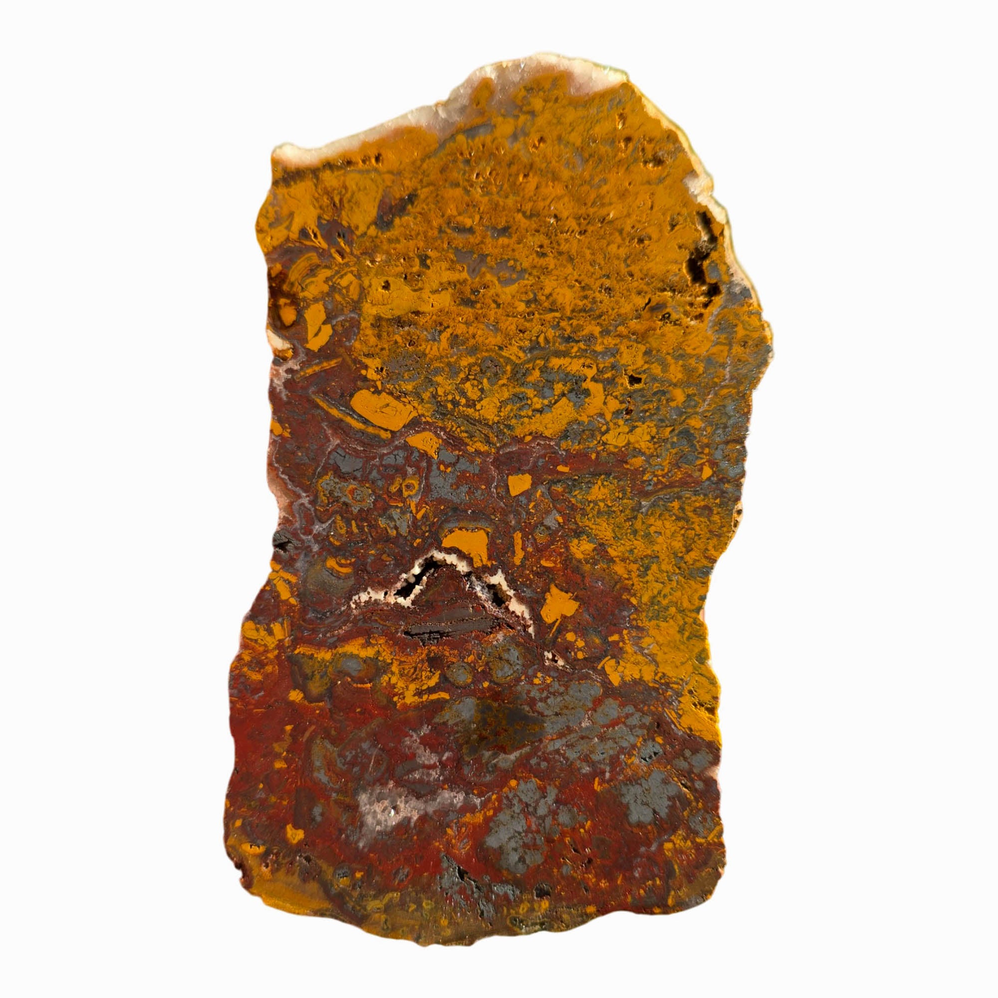 Apple Valley Jasper Slab Dry - Hematite Flowers Red Gold Stromatolite #3719-Photo5