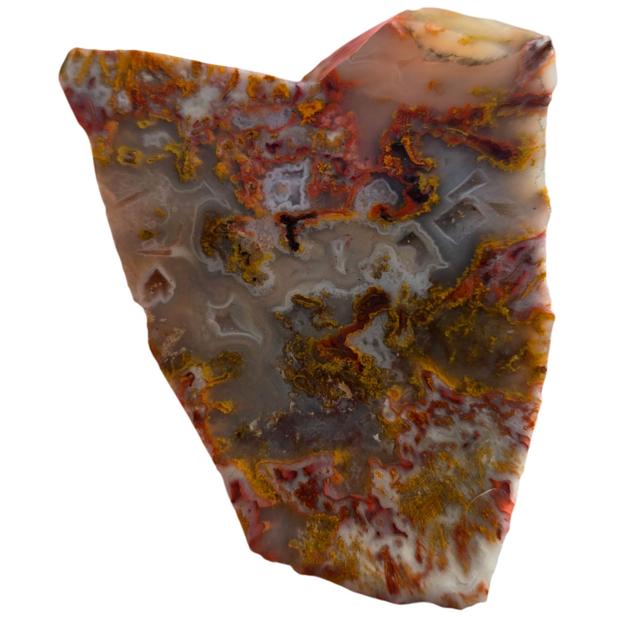 Apple Valley Agate Slab – Wintry Scene Pseudomorphic Moss #3726-Photo3