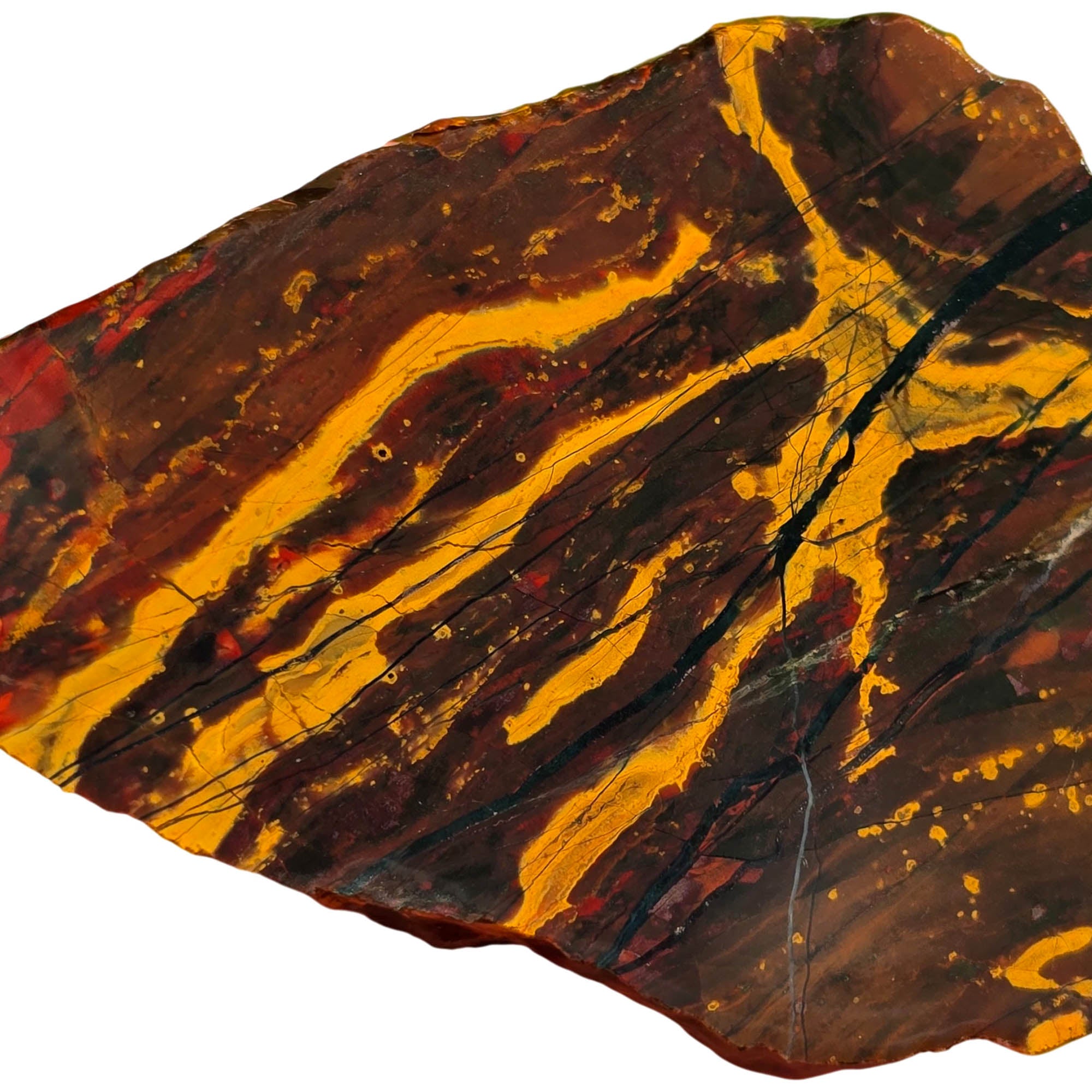 Kaleidoscope Jasper Slab – Burgundy Stripe Rare Oregon Collectible #3723-Photo2