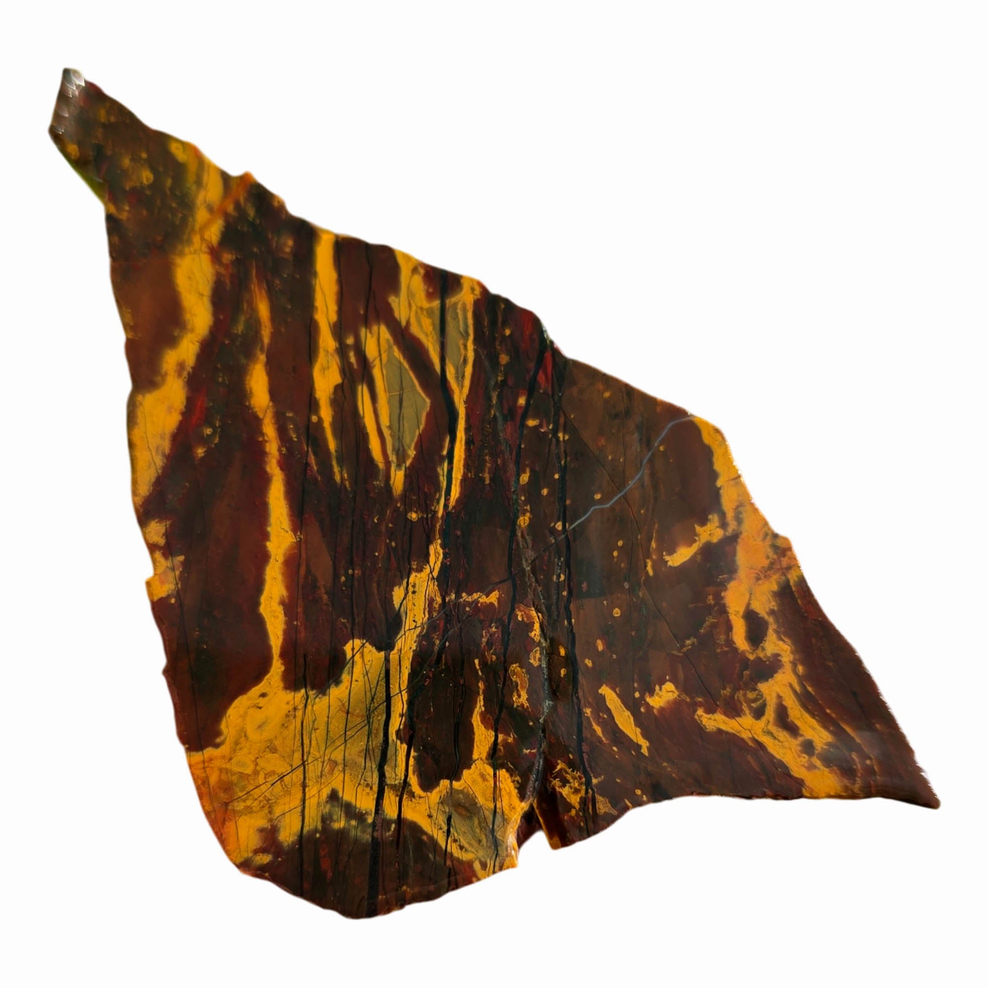 Kaleidoscope Jasper Slab – Burgundy Stripe Rare Oregon Collectible #3723-Photo3