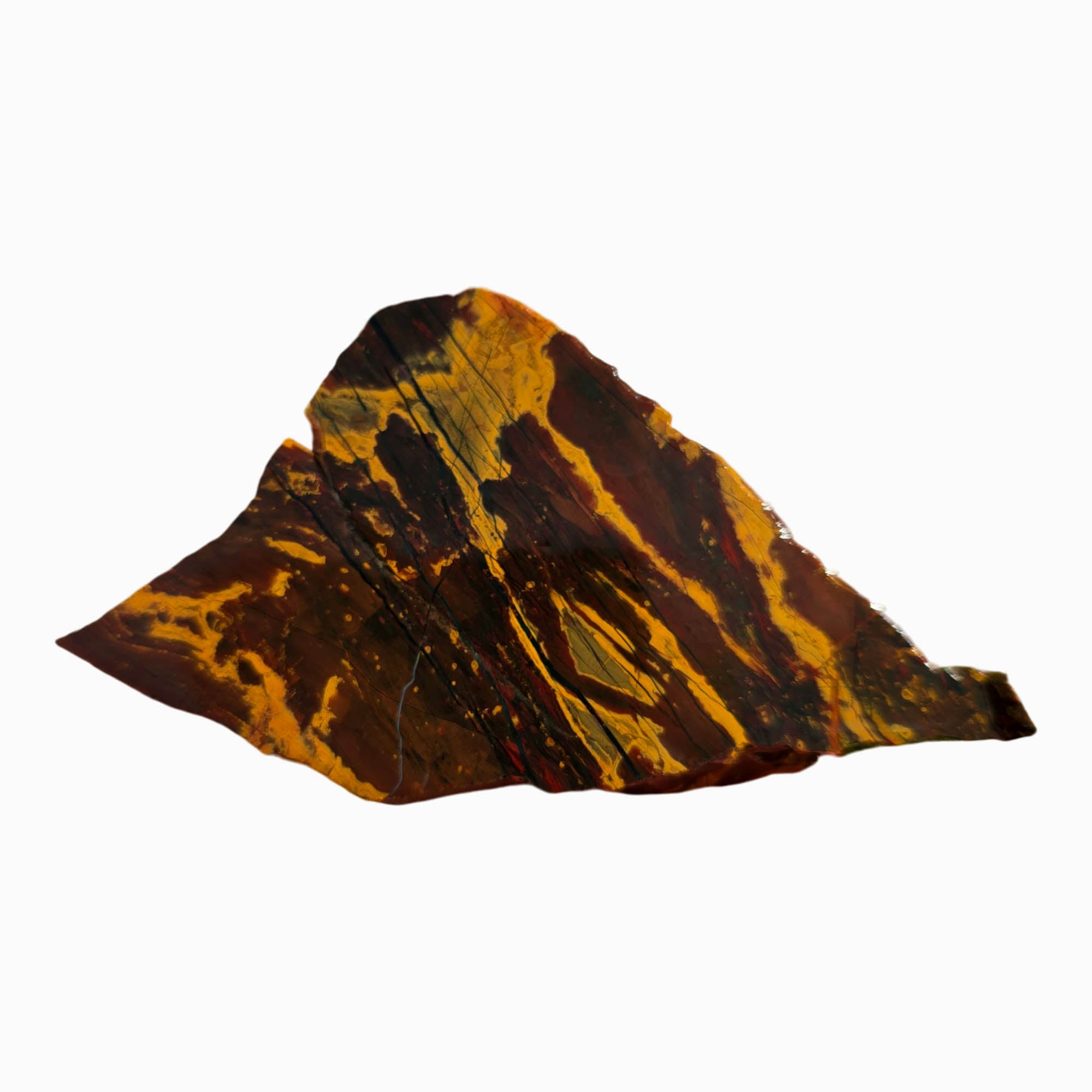 Kaleidoscope Jasper Slab – Burgundy Stripe Rare Oregon Collectible #3723-Photo4