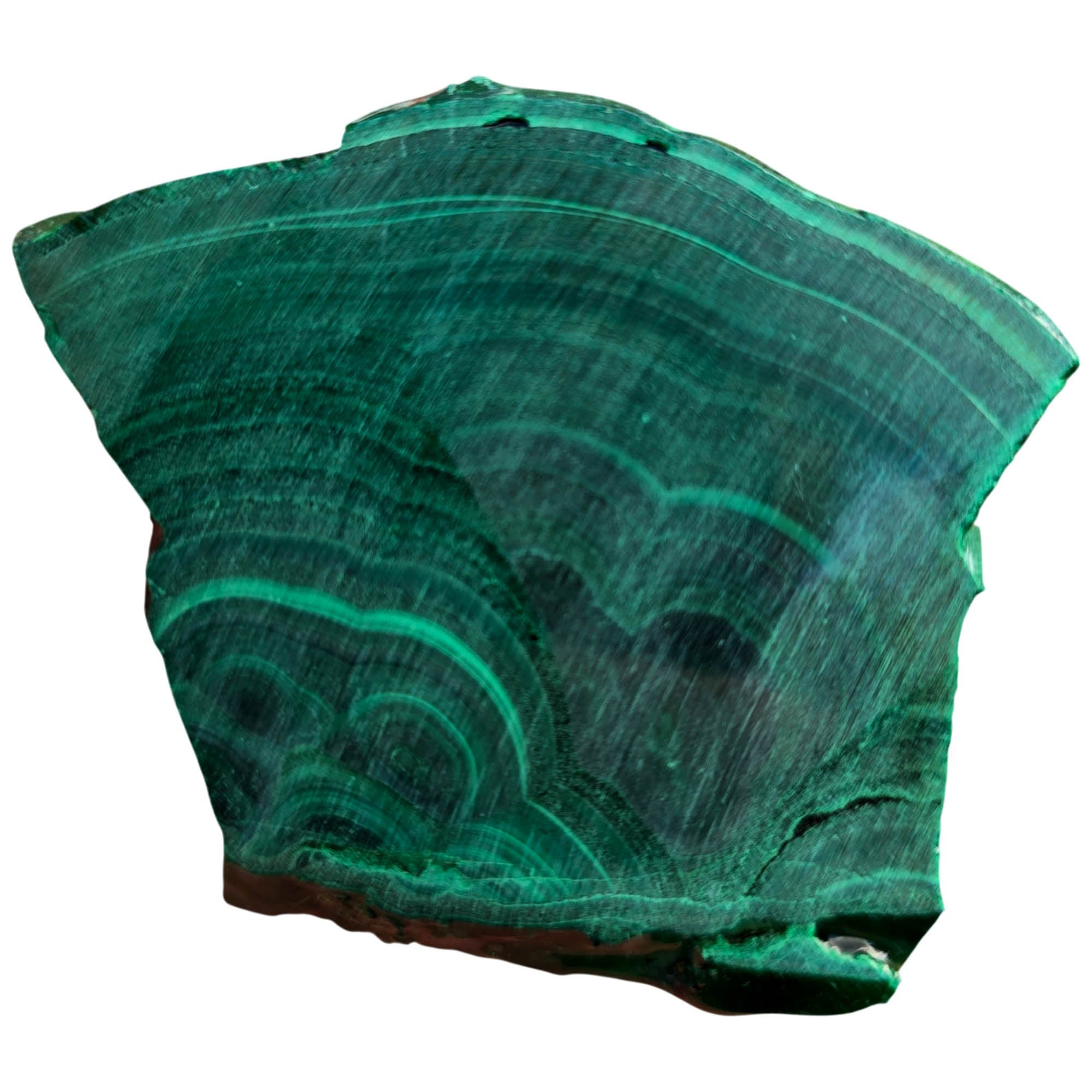 Malachite Slab - Green Lace Pattern Chatoyant Flowering Wet #3725-Photo2