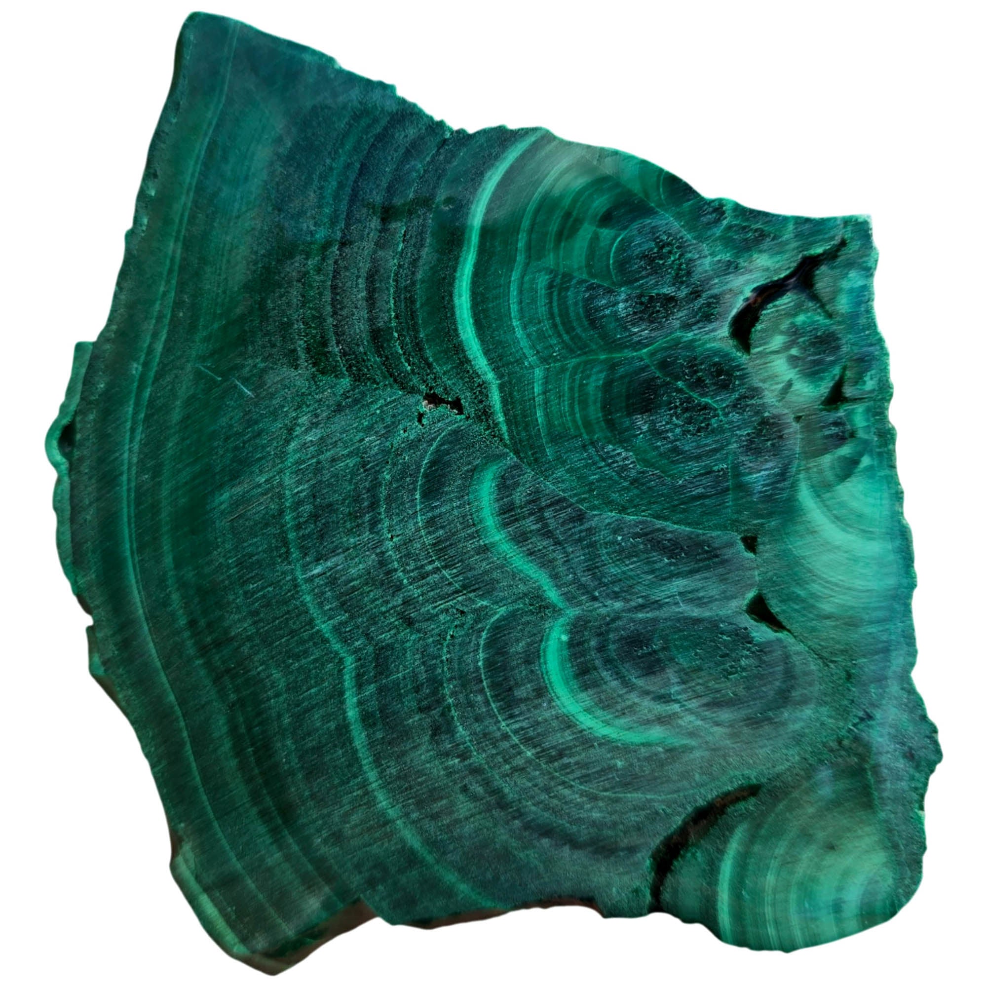 Malachite Slab - Green Lace Pattern Chatoyant Flowering Wet #3725-Photo3