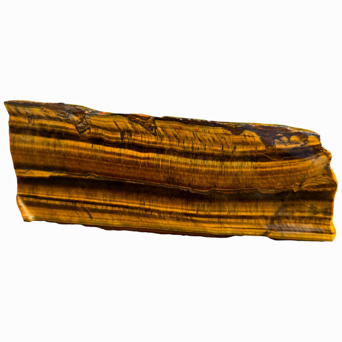 Chatoyant Line Golden Tiger Eye Slab - Double Chatoyant Hematite Line