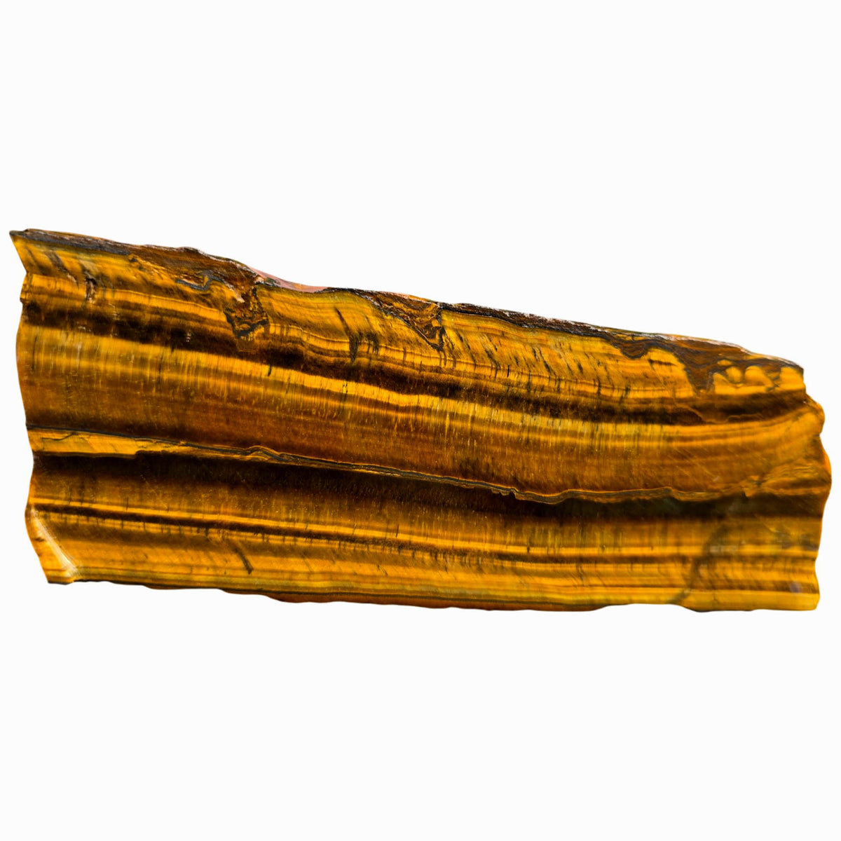 Chatoyant Line Golden Tiger Eye Slab - Double Chatoyant Hematite Line