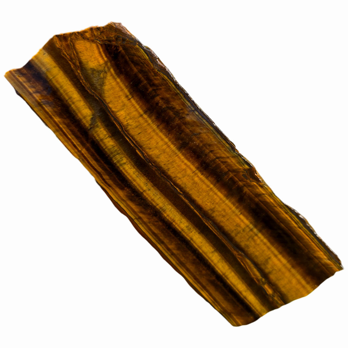 Chatoyant Line Golden Tiger Eye Slab - Double Chatoyant Hematite Line