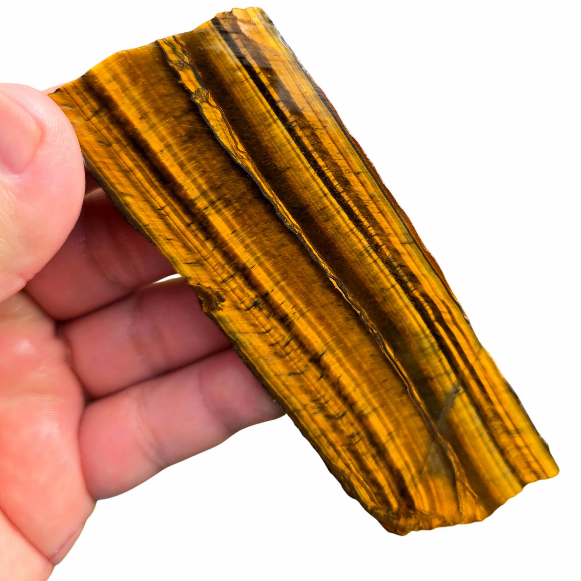 Chatoyant Line Golden Tiger Eye Slab - Double Chatoyant Hematite Line