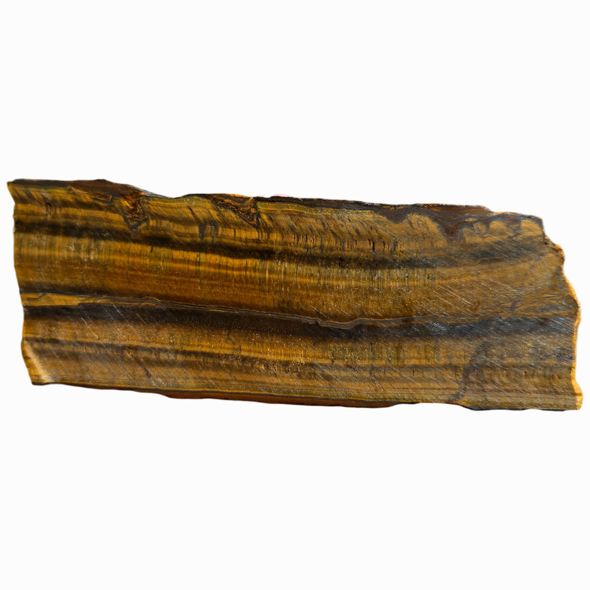 Chatoyant Line Golden Tiger Eye Slab - Double Chatoyant Hematite Line