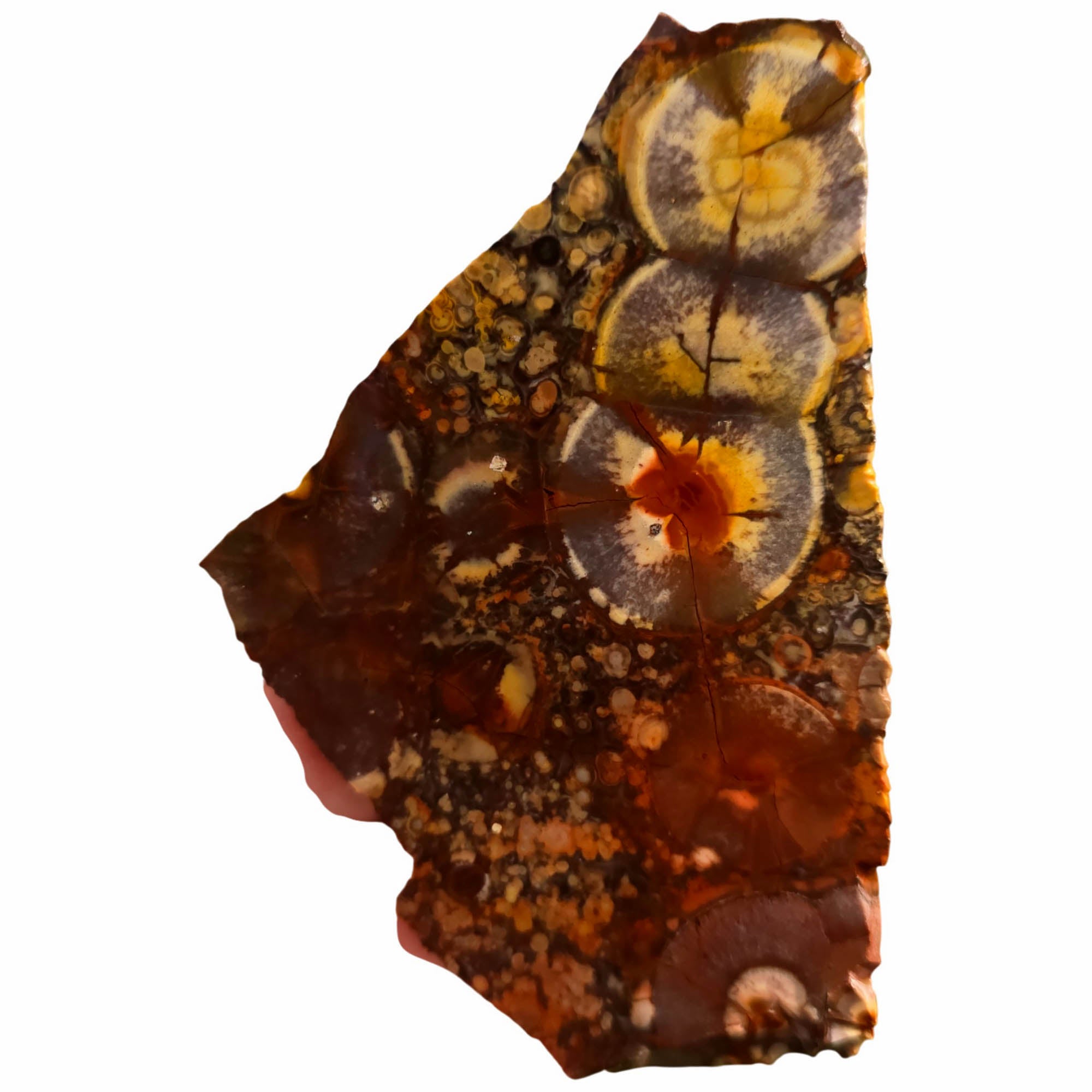 Birdseye Rhyolite Slab - Purple Orbicular Eyes Mexican Old Stock #3728-Photo3