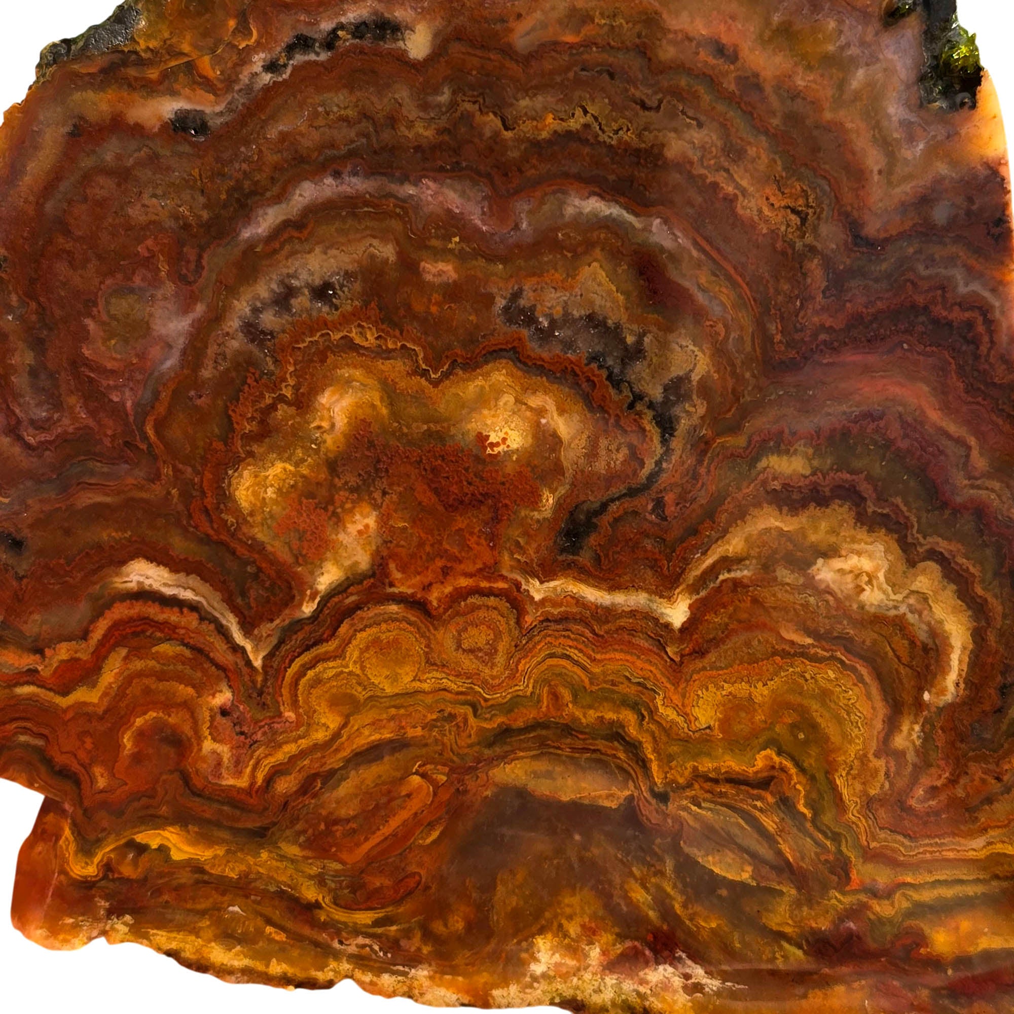 Mystery Lace Agate Slab – Volcanic Eruption Clouds – 1930s Estate #3731-Photo2