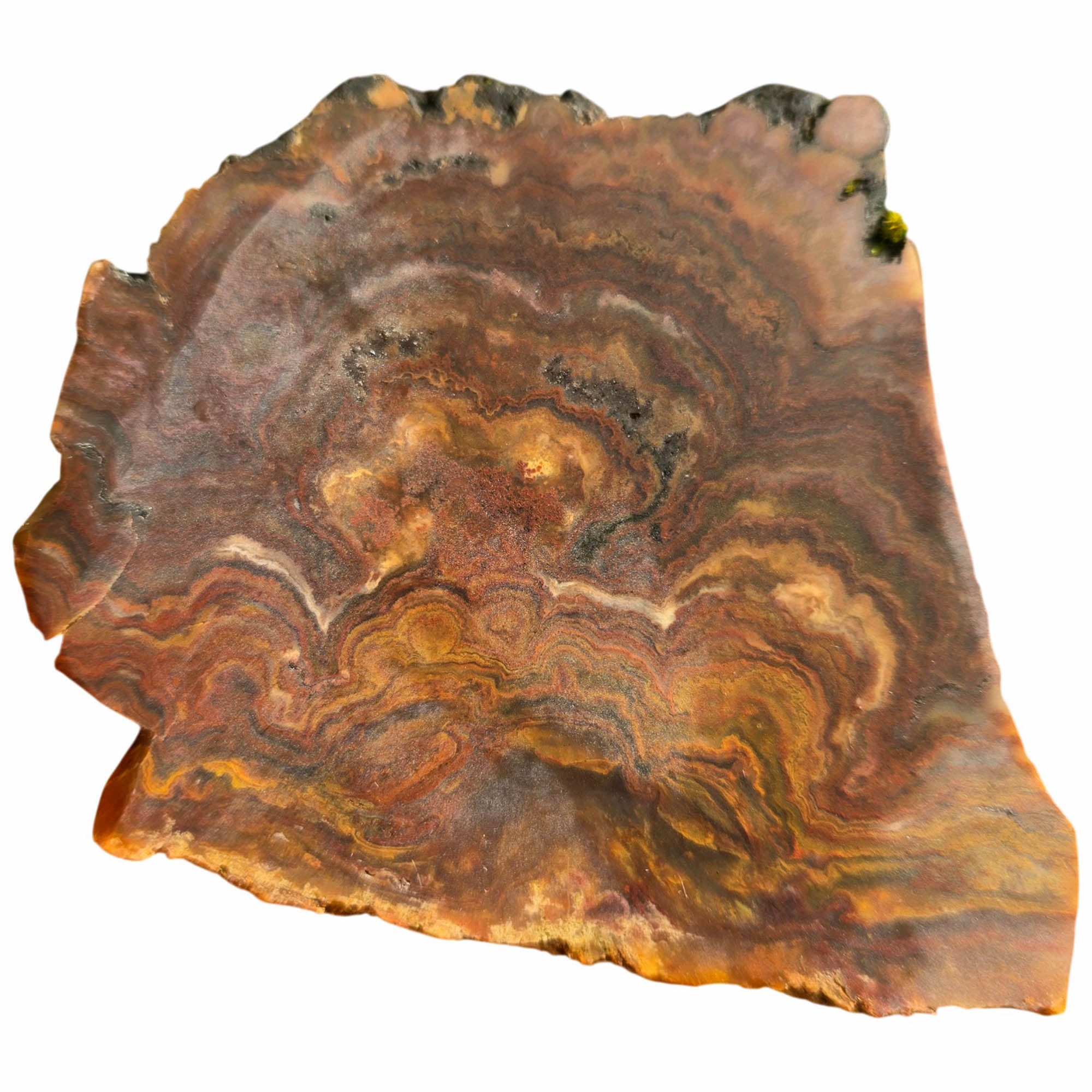 Mystery Lace Agate Slab Dry – Volcanic Eruption Clouds – 1930s Estate #3731-Photo5