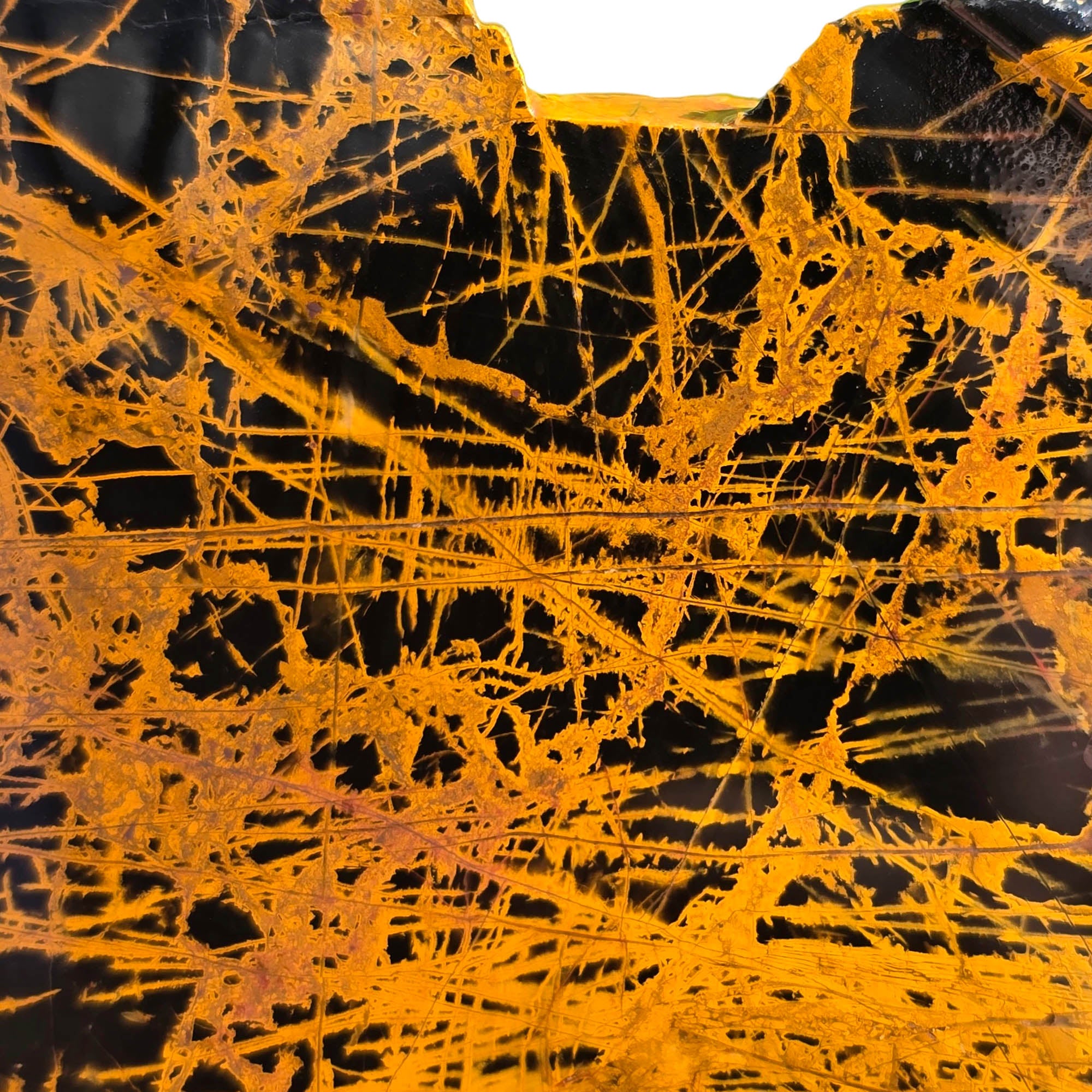 Pilbara Jasper Slab – Black Coffee Spiderweb Brecciated Pattern #3732-Photo1