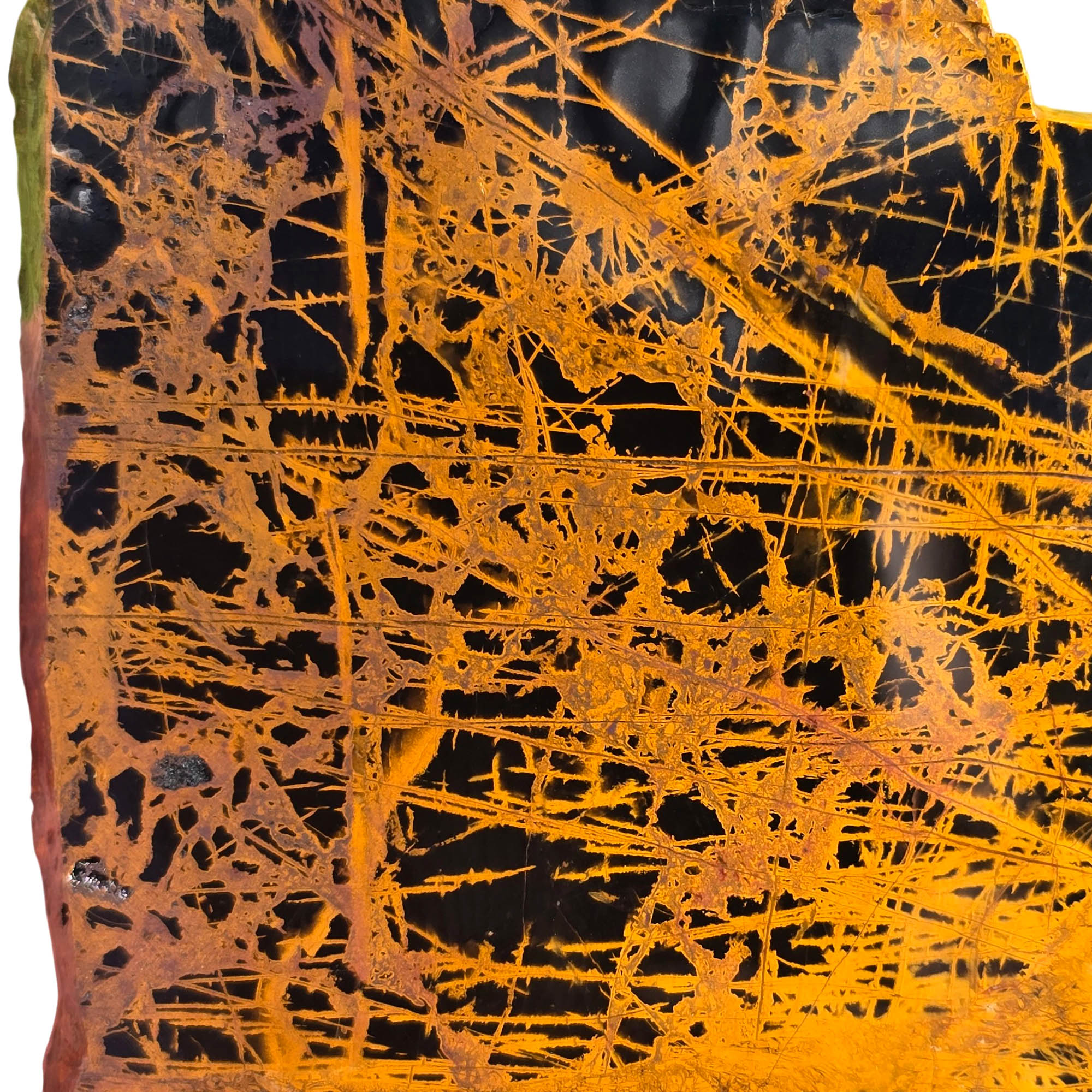 Pilbara Jasper Slab – Black Coffee Spiderweb Brecciated Pattern #3732-Photo2