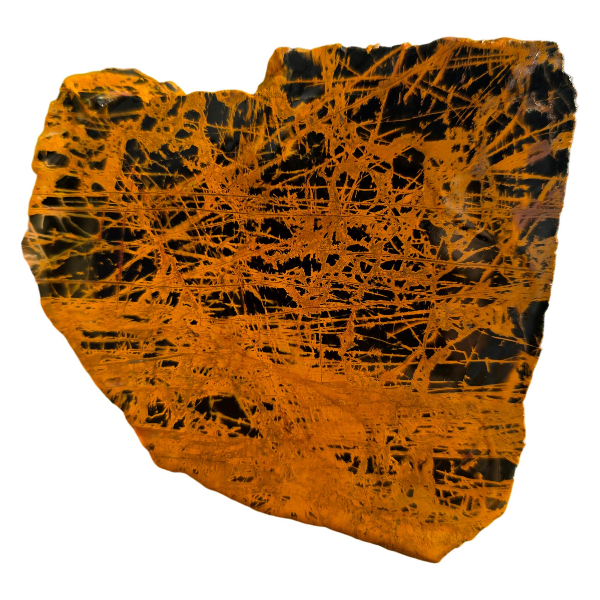 Pilbara Jasper Slab – Black Coffee Spiderweb Brecciated Pattern #3732-Photo3