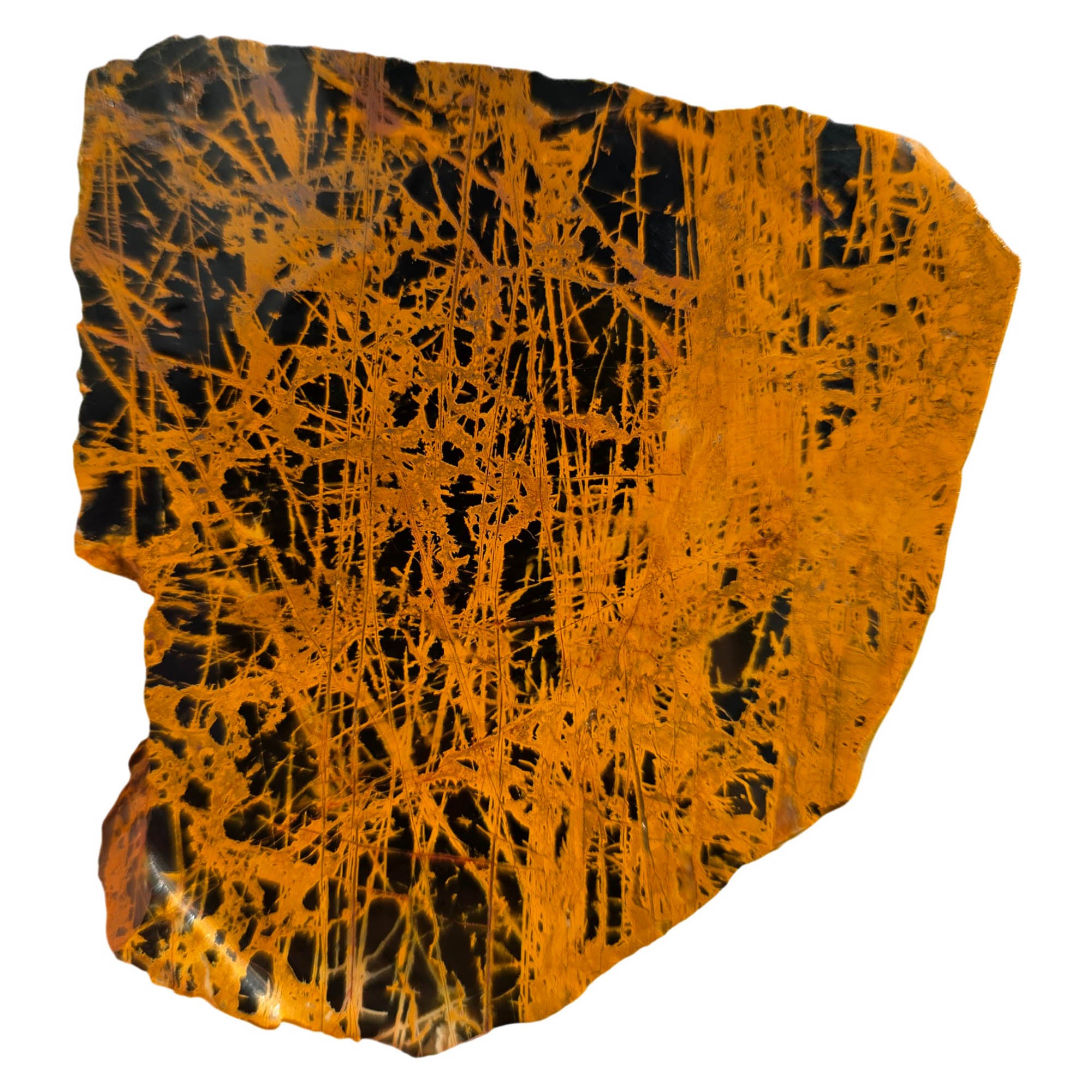 Pilbara Jasper Slab – Black Coffee Spiderweb Brecciated Pattern #3732-Photo4