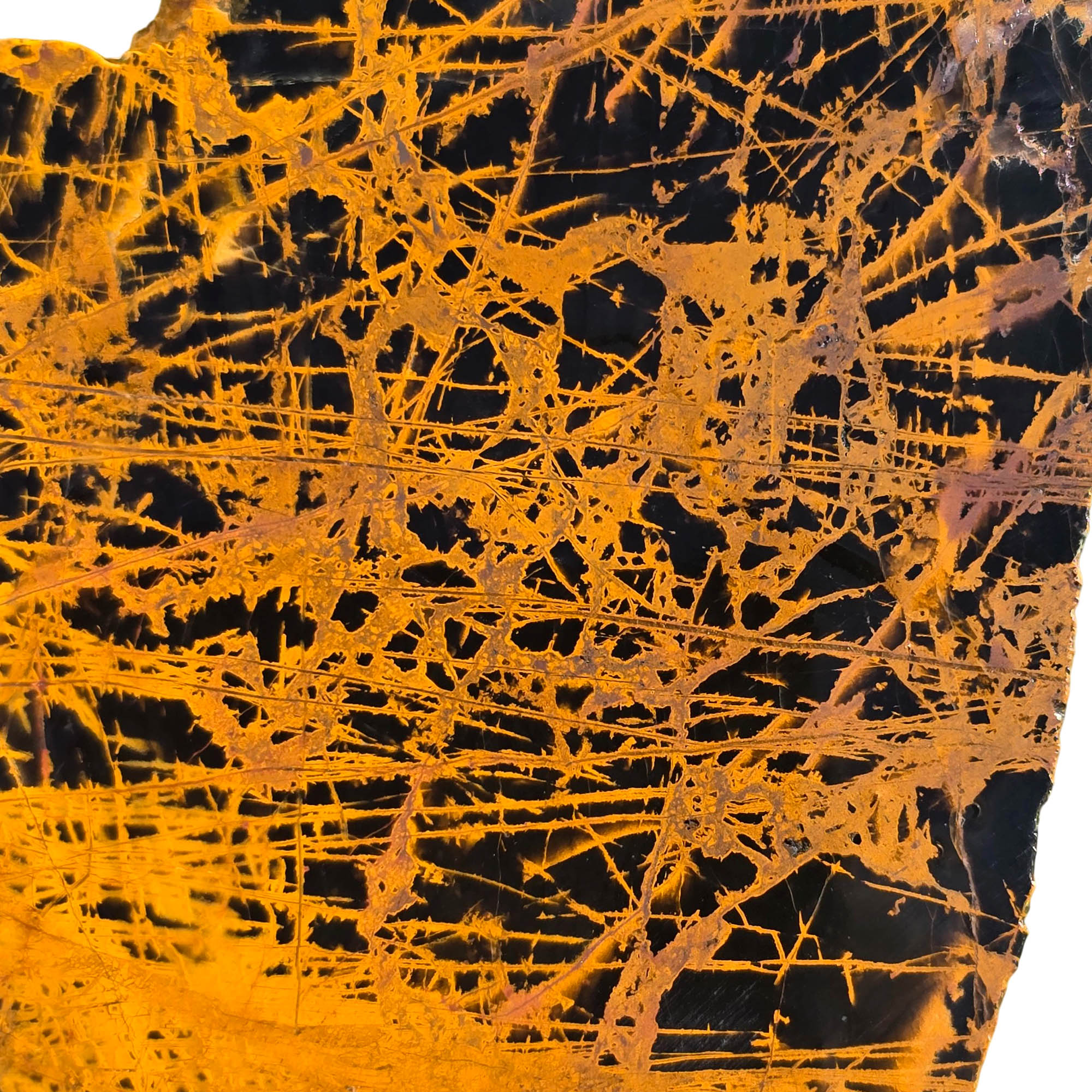 Pilbara Jasper Slab – Black Coffee Spiderweb Brecciated Pattern #3732-Photo5