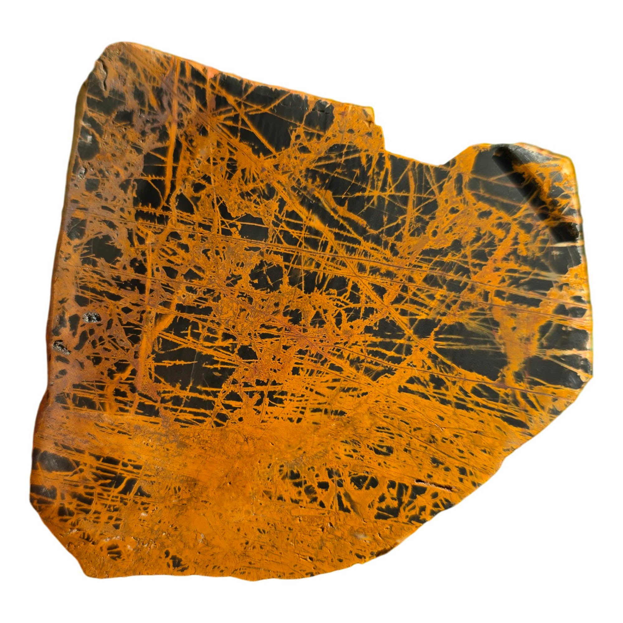 Pilbara Jasper Slab – Black Coffee Spiderweb Brecciated Pattern #3732-Photo6