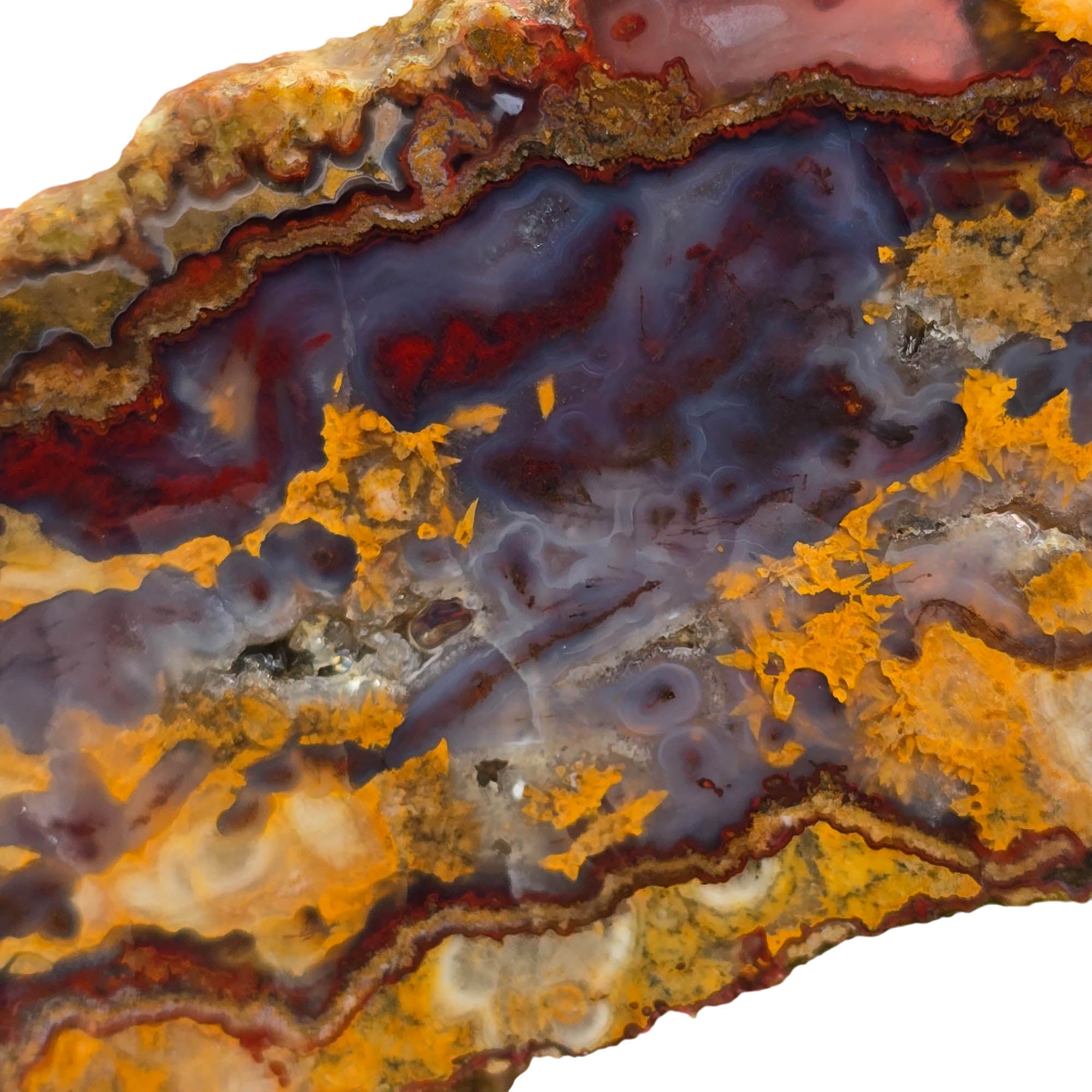 San Carlos Agate Slab - Red Moss Purple Plasma Golden Patterns #3733-Photo3