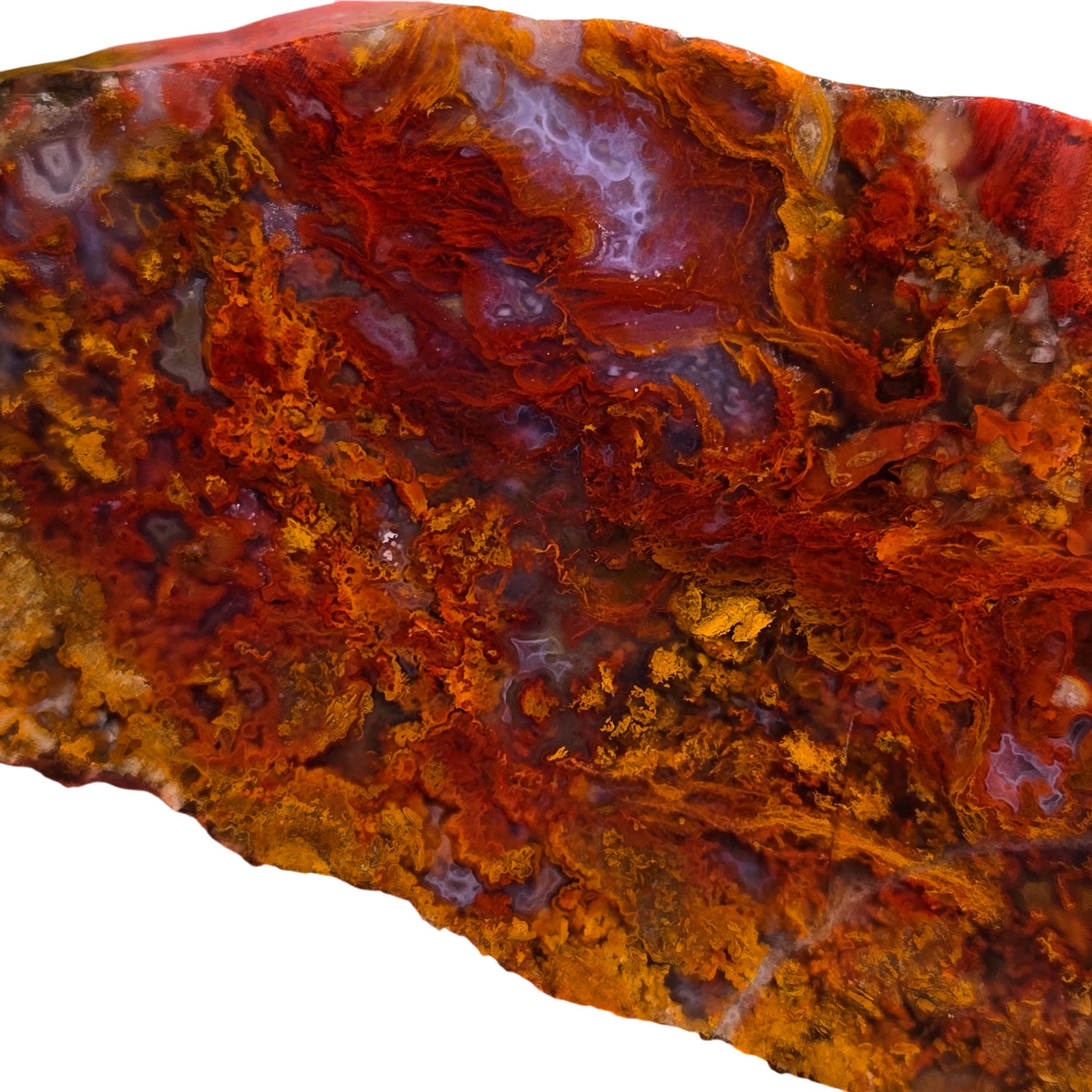 San Carlos Agate Slab – Bright Red Moss Blue Inclusions #3735-Photo4
