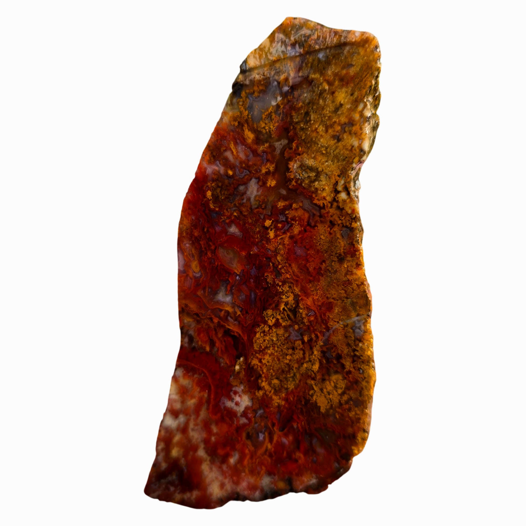 San Carlos Agate Slab – Bright Red Moss Blue Inclusions #3735-Photo5