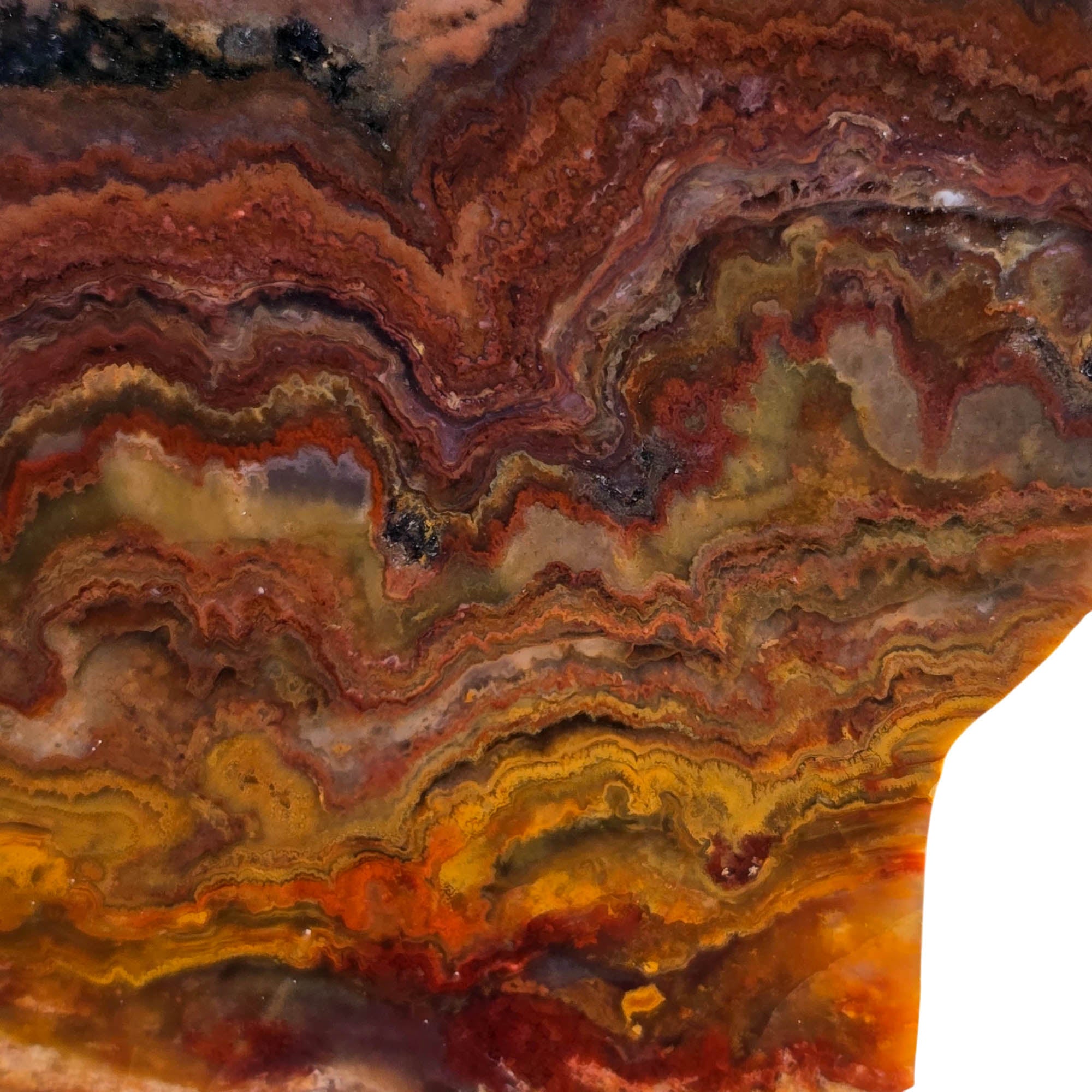 Mystery Lace Agate Slab – Dark Volcanic Cloud Patterns Estate #3737-Photo6