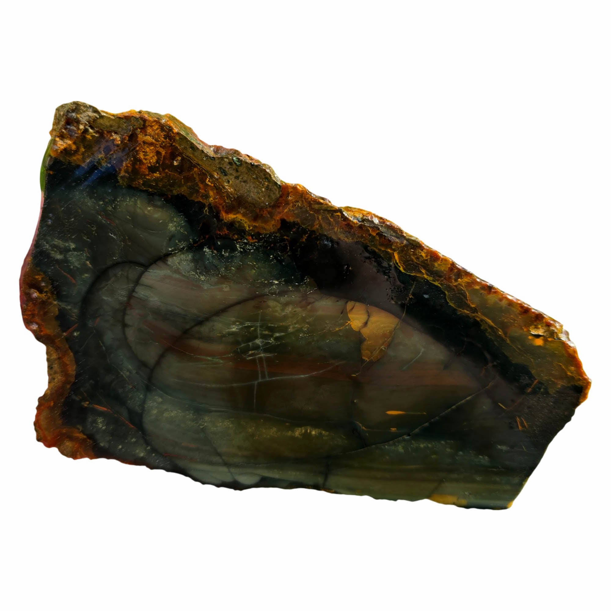 Blue Mountain Jasper Slab – Dark Green Orbs Oregon Classic #3739-Photo2