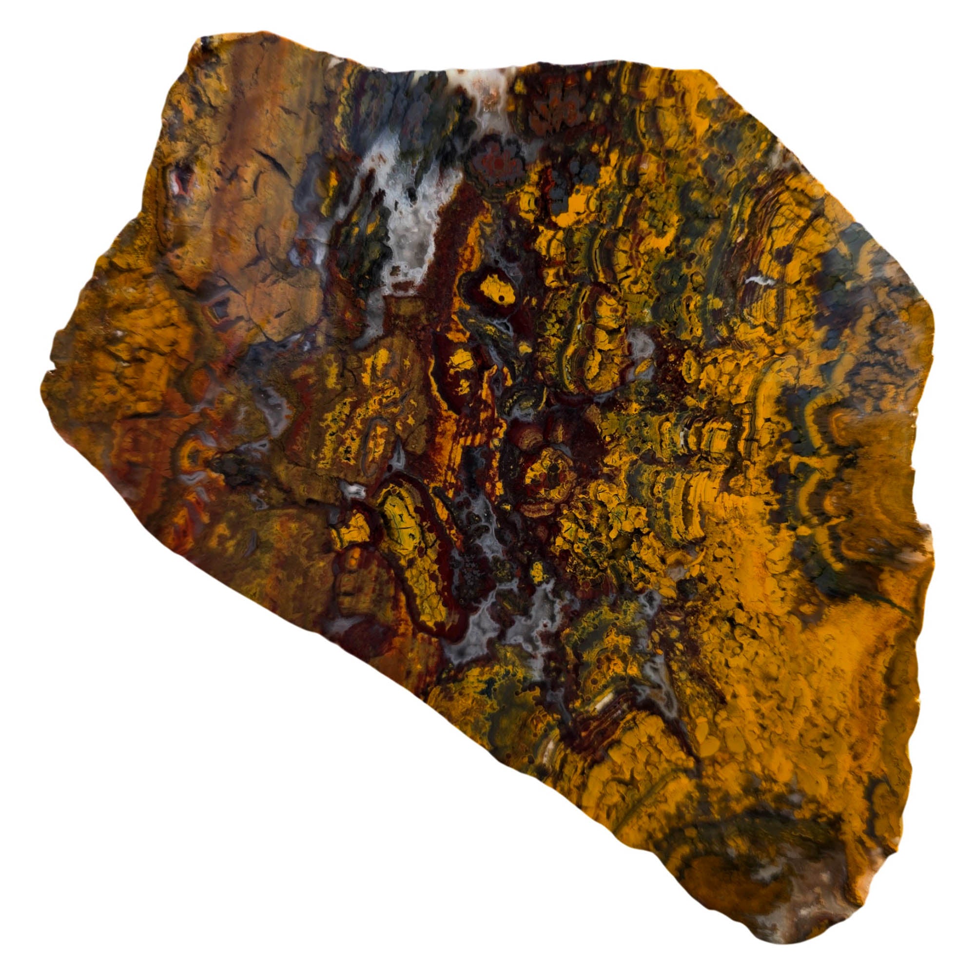 Apple Valley Jasper Slab – Hematite Flowers Oolitic Patterns Bright Red #3740-Photo6