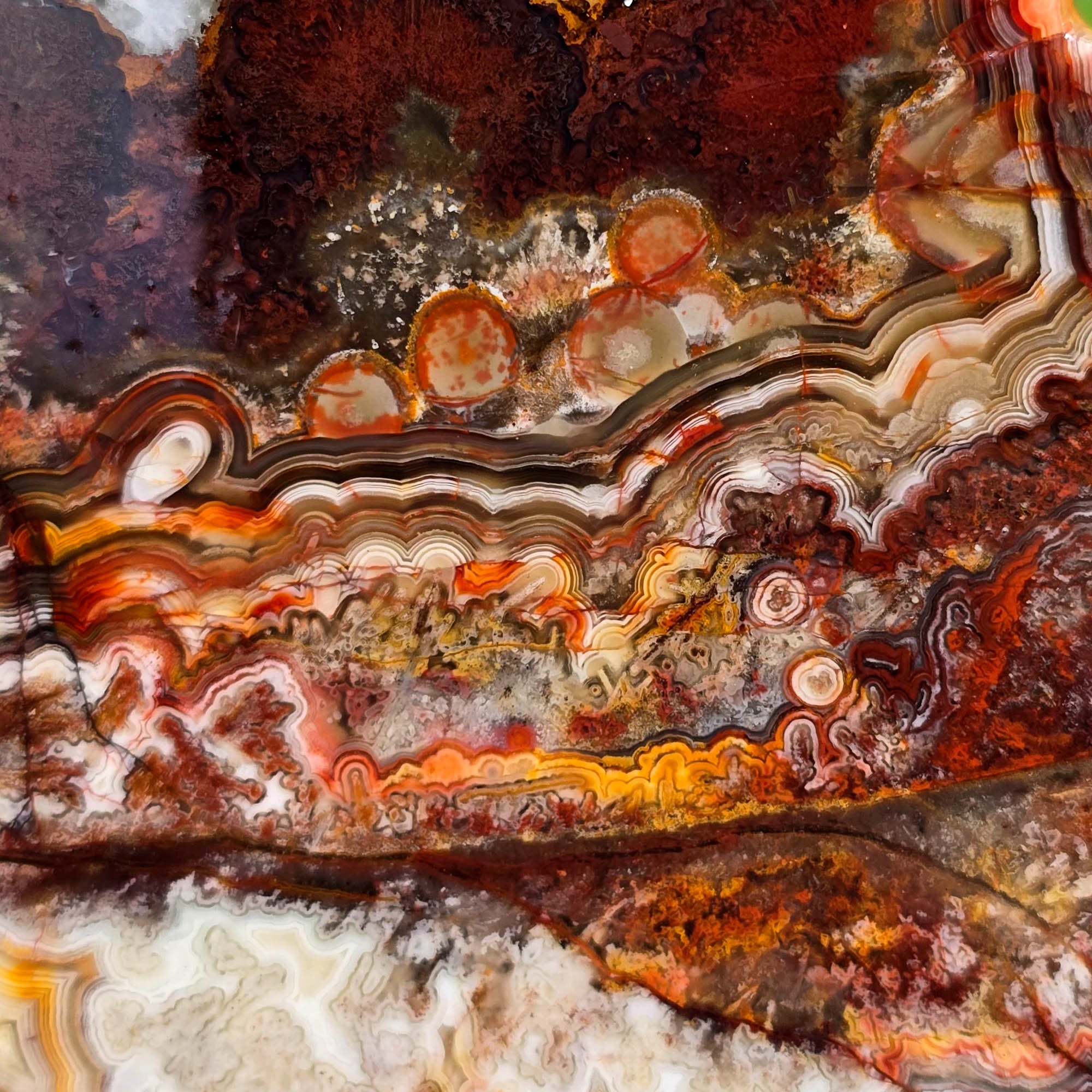 Crazy Lace Agate Slab - Bright Laguna Colors Fireworks Mexico #3742-Photo2