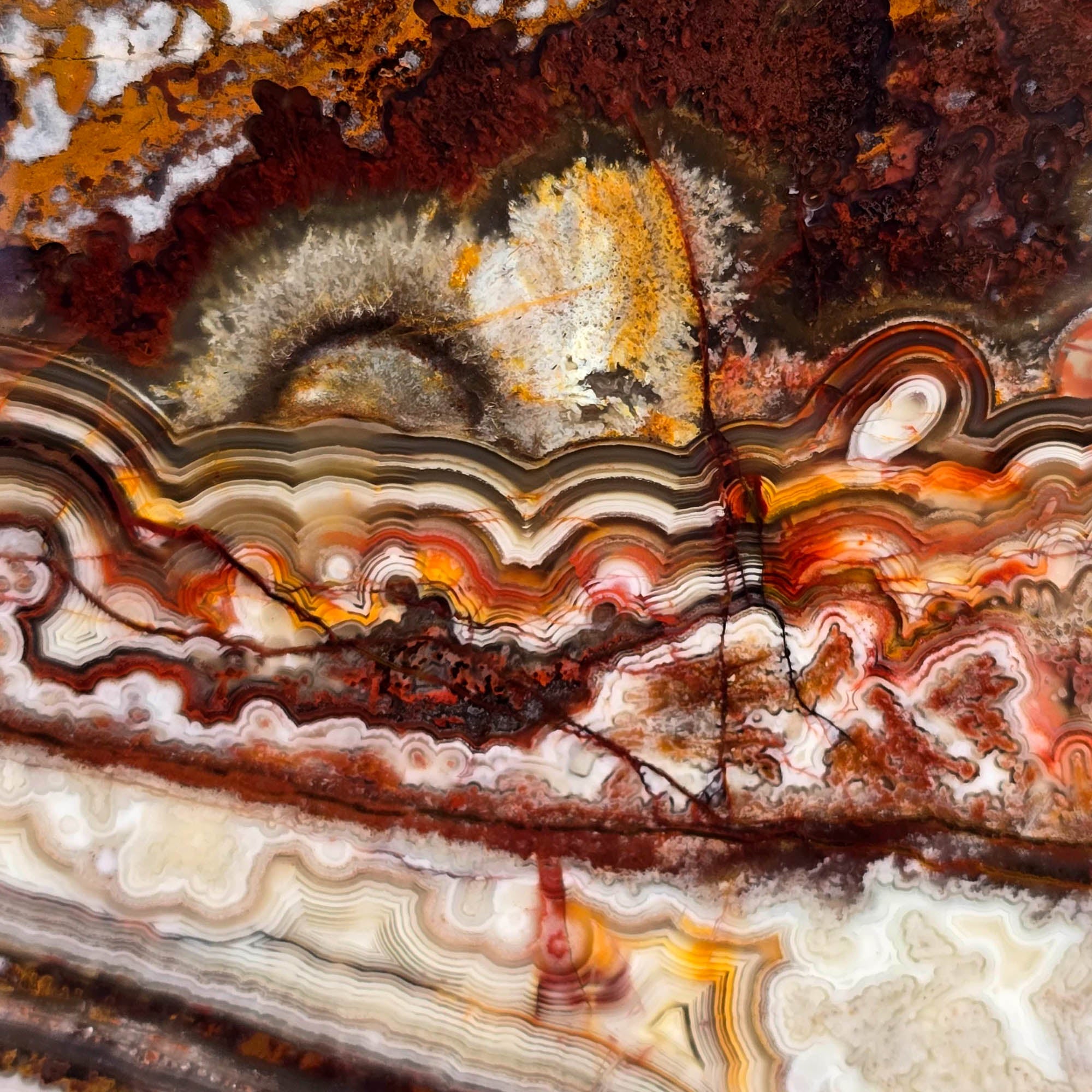 Crazy Lace Agate Slab - Bright Laguna Colors Fireworks Mexico #3742-Photo3