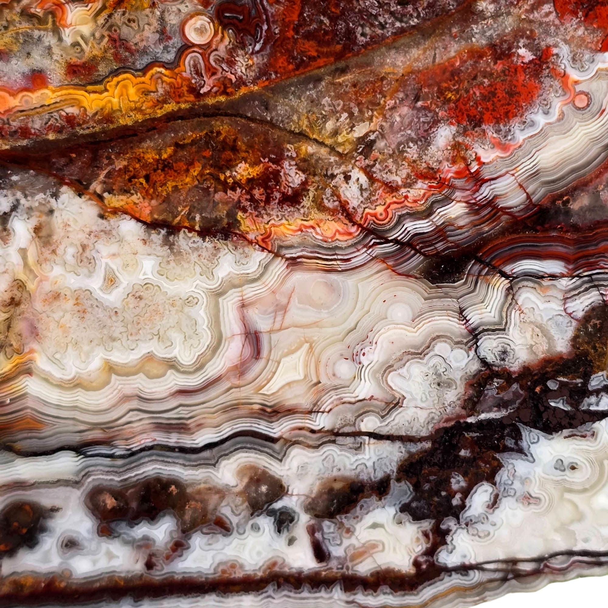 Crazy Lace Agate Slab - Bright Laguna Colors Fireworks Mexico #3742-Photo4