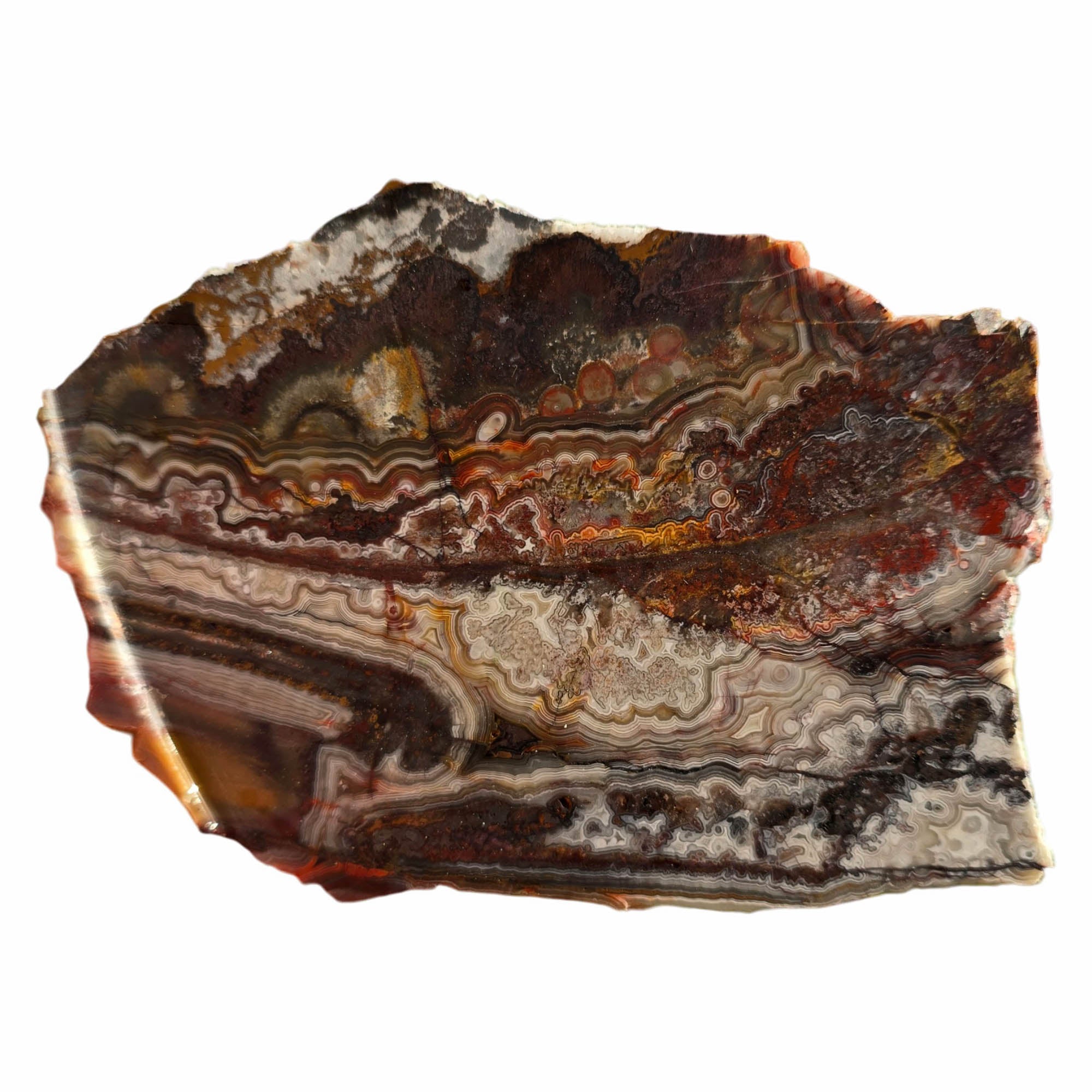 Crazy Lace Agate Slab Dry - Bright Laguna Colors Fireworks Mexico #3742-Photo7