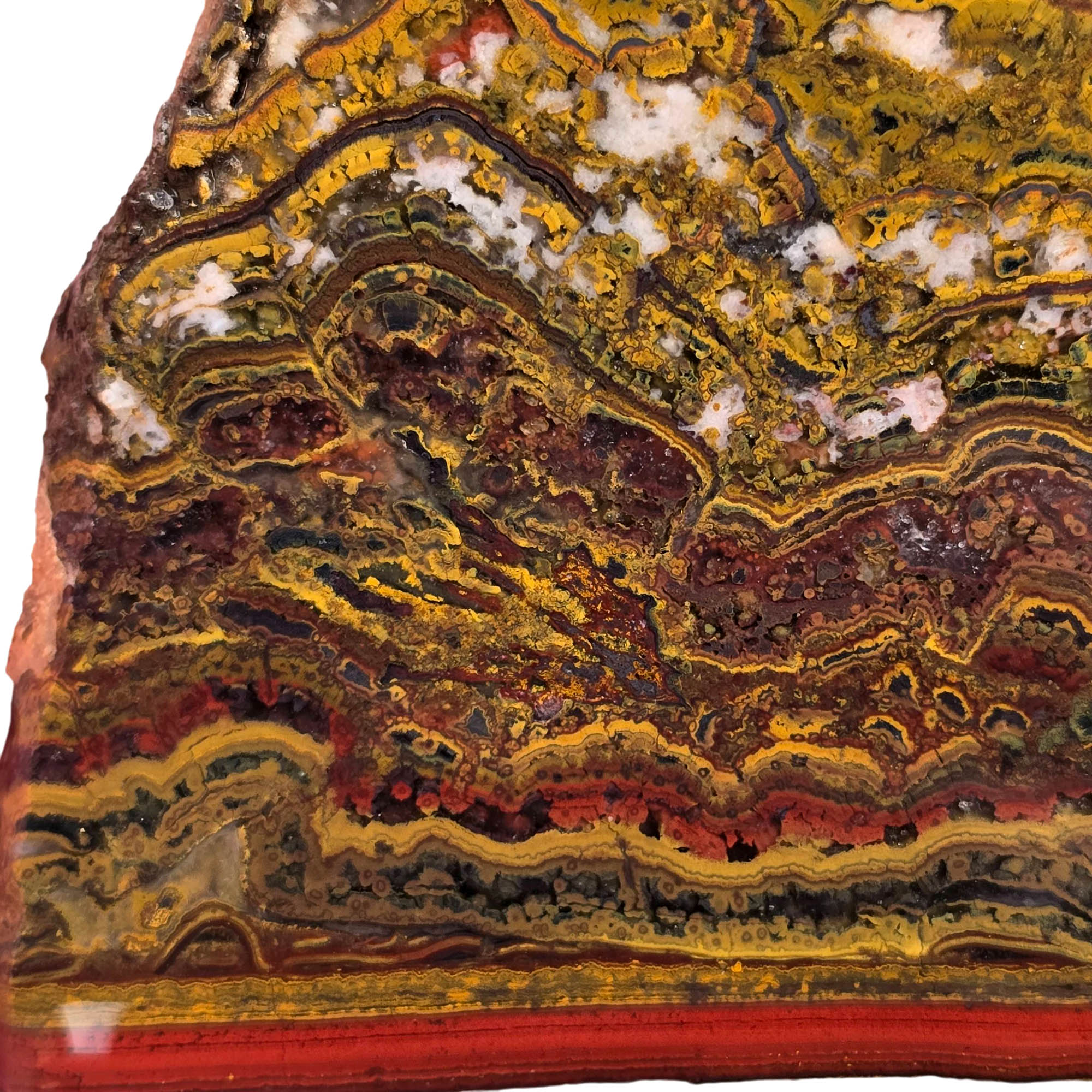 Apple Valley Jasper Slab - Wavy Stromatolites Hematite Flowers Sahara #3745-3
