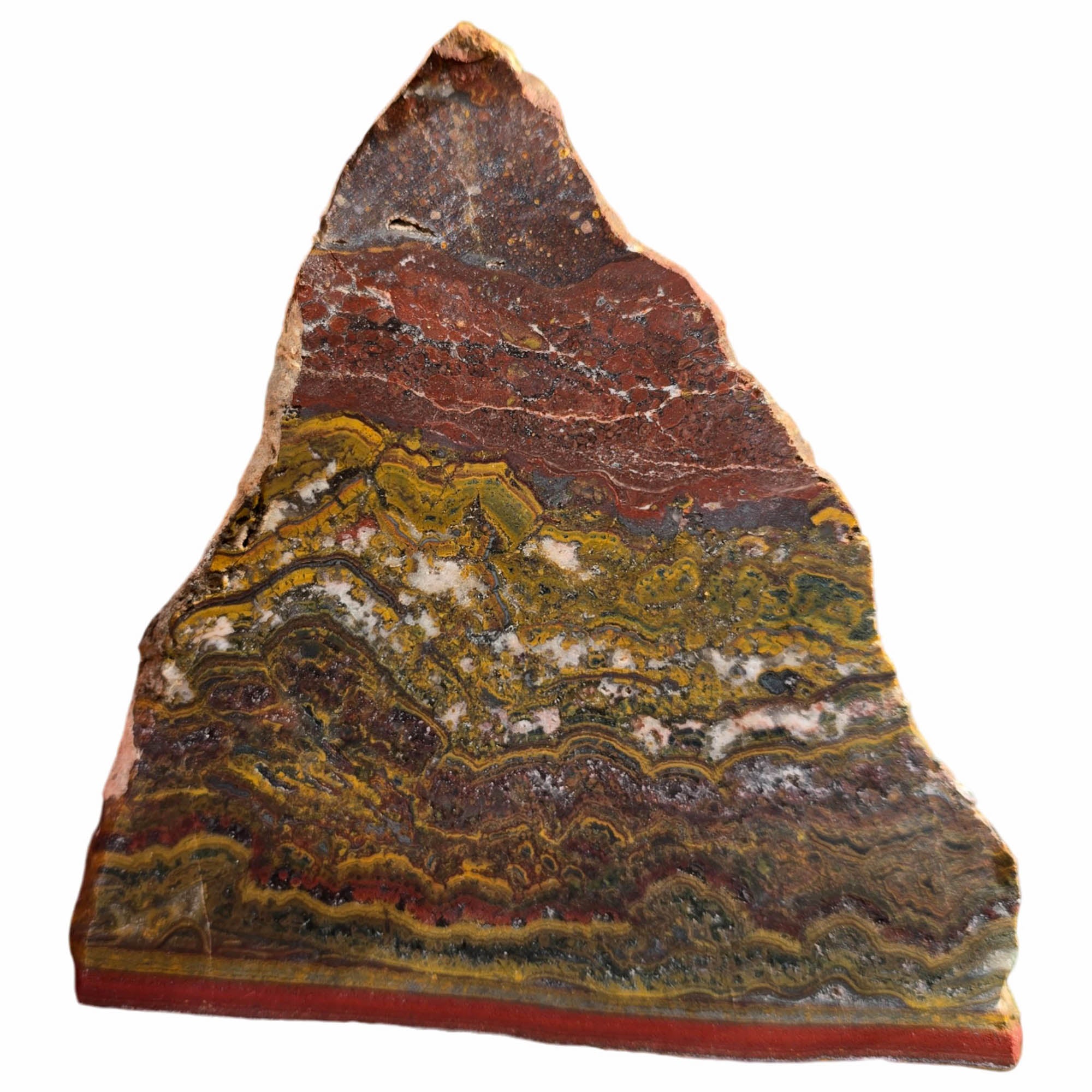 Apple Valley Jasper Slab Dry - Wavy Stromatolites Hematite Flowers Sahara #3745-5