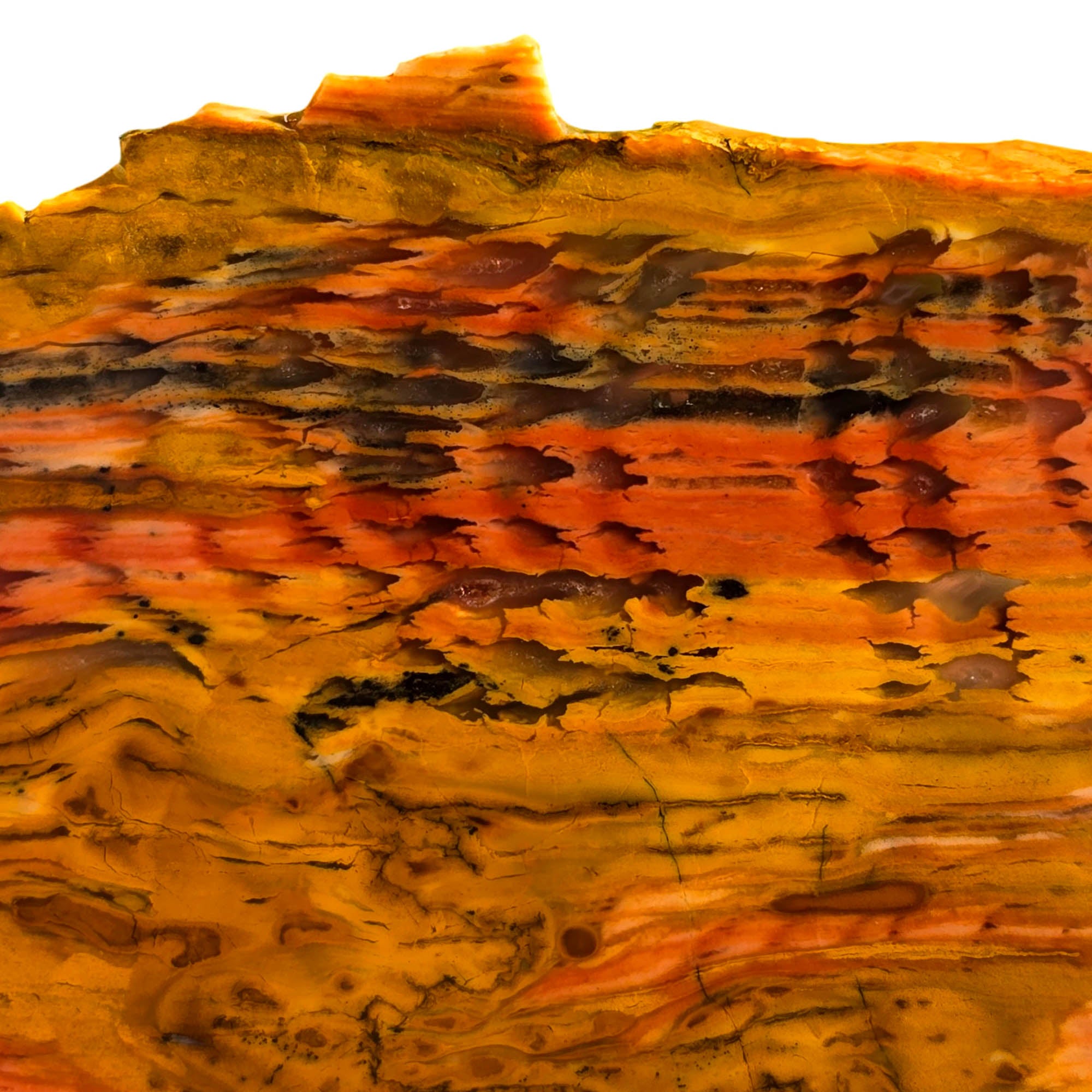 Howardite Slab - Rattlesnake Pattern Old Stock Nevada Opalized Silicate #3747-Photo2