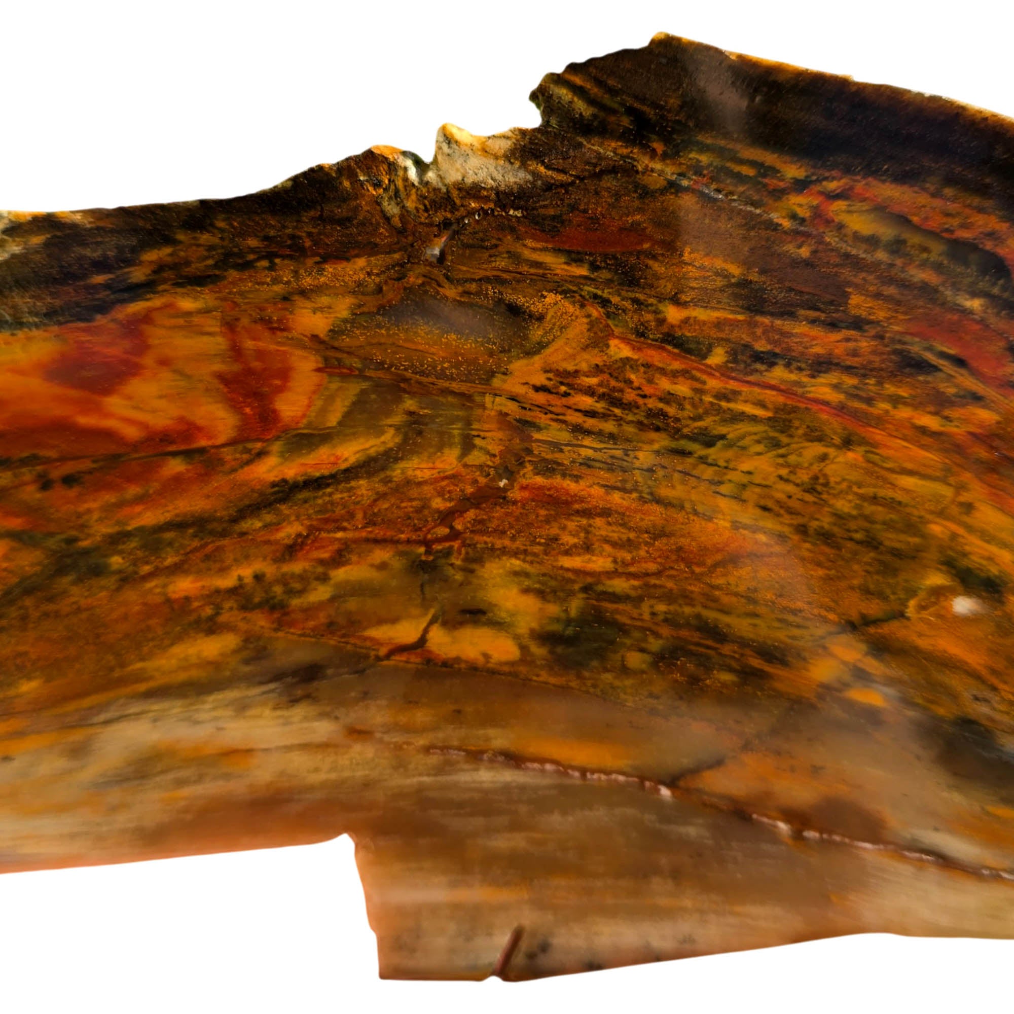 Mystery Petrified Wood Slab – Sunset Colorations Estate Collection! #3748-Photo1