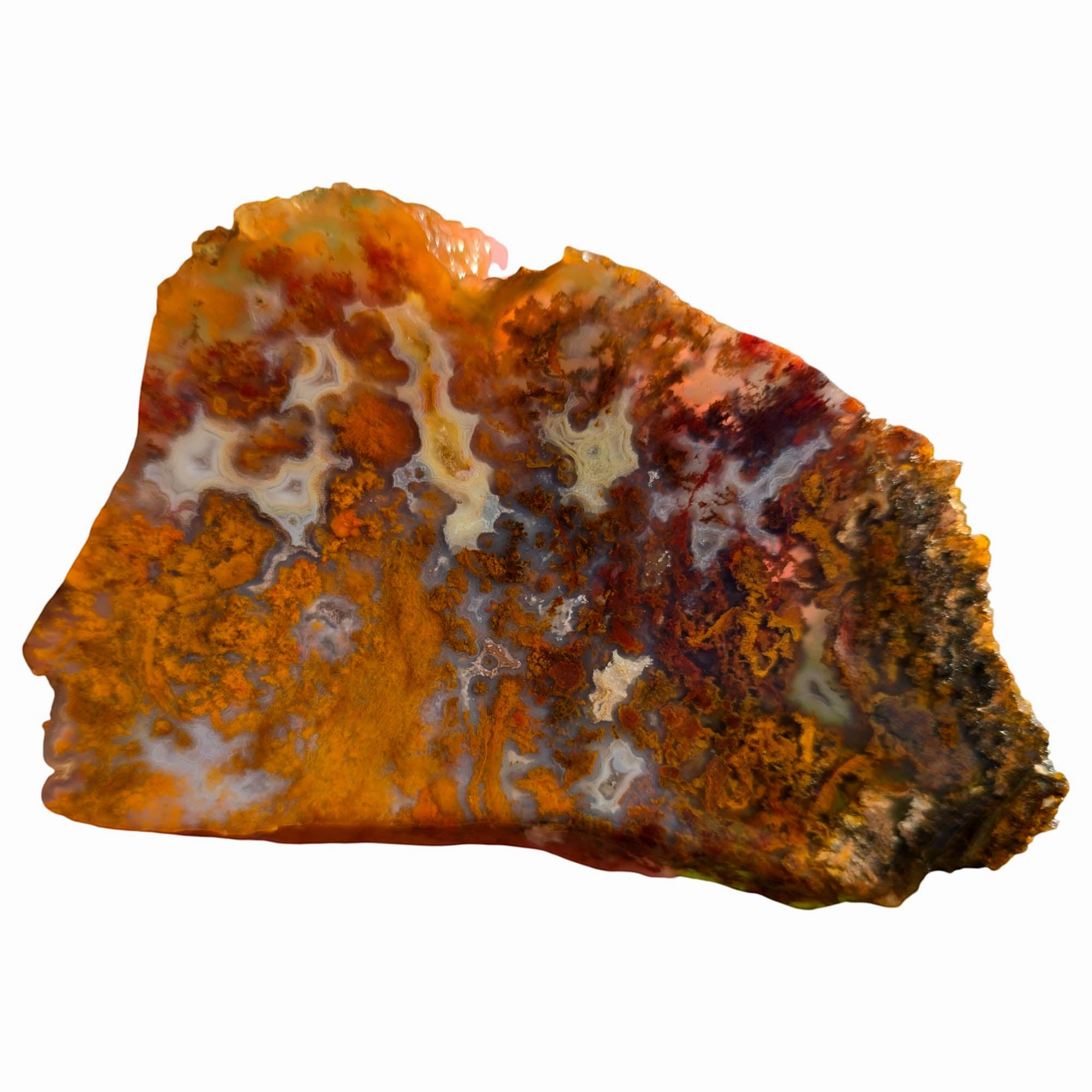 San Carlos Agate Slab – Orange Red Moss Detail Mexican #3750-Photo1