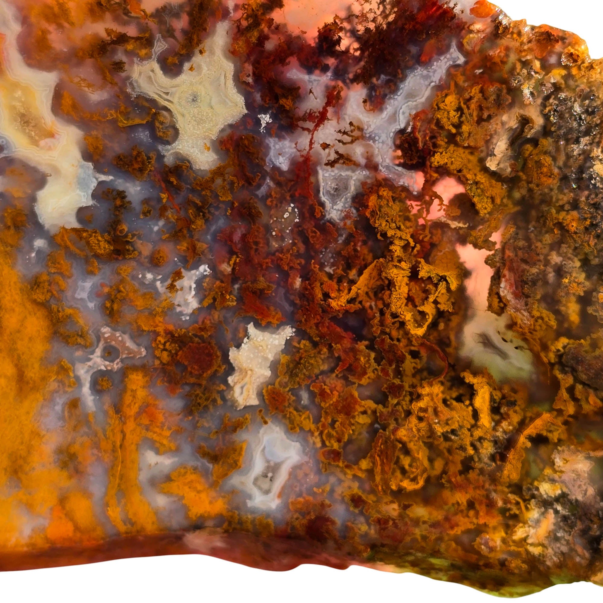 San Carlos Agate Slab – Orange Red Moss Detail Mexican #3750-Photo2