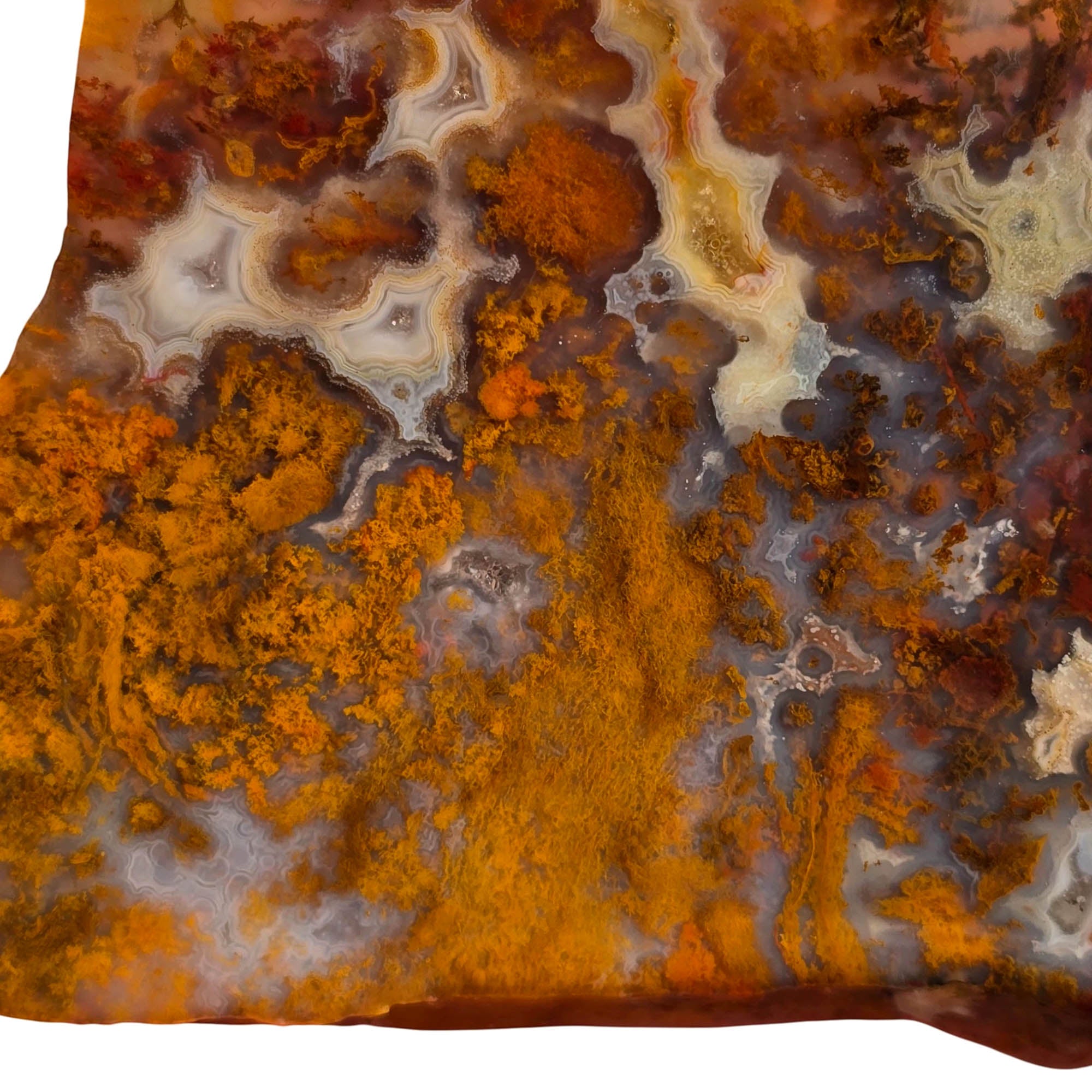 San Carlos Agate Slab – Orange Red Moss Detail Mexican #3750-Photo3