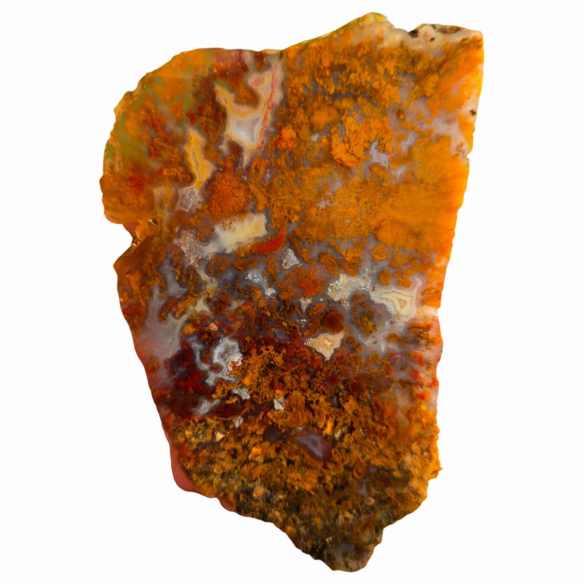 San Carlos Agate Slab – Orange Red Moss Detail Mexican #3750-Photo4