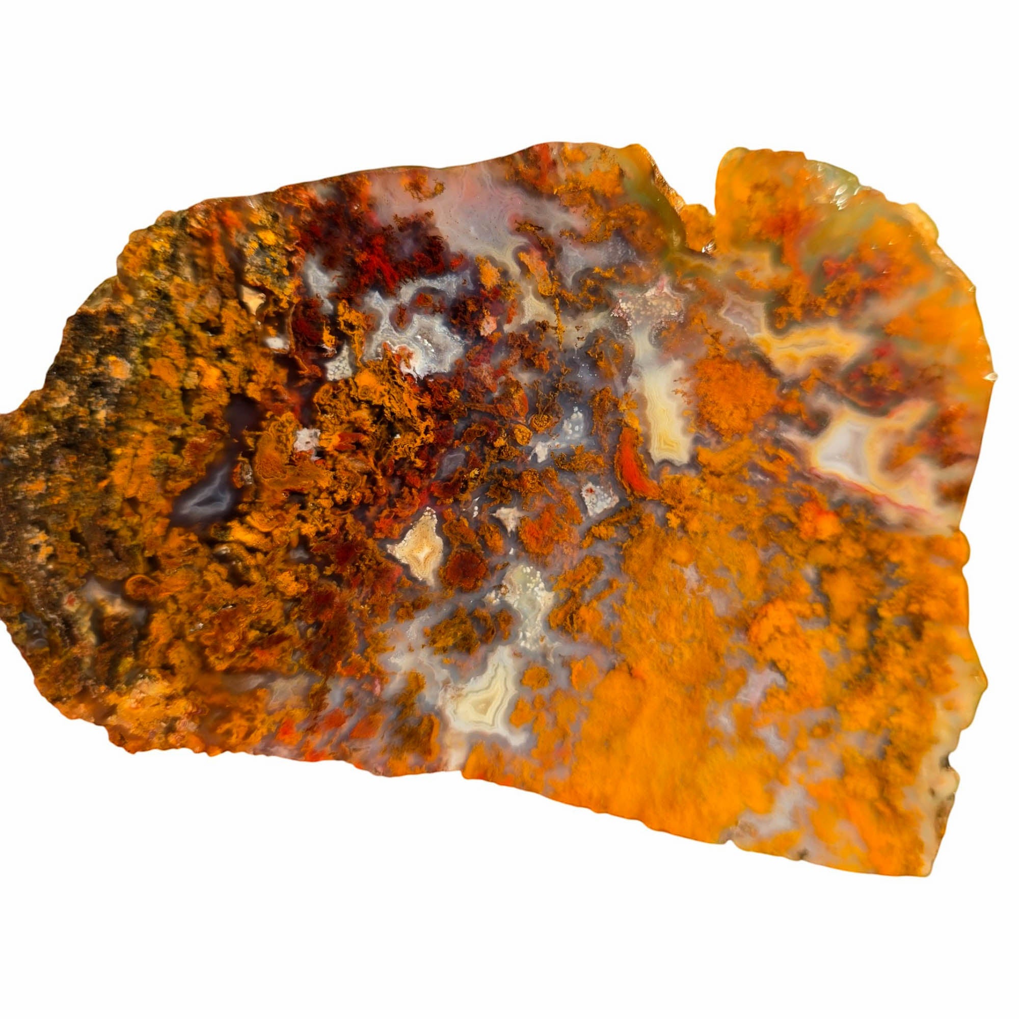 San Carlos Agate Slab – Orange Red Moss Detail Mexican #3750-Photo5