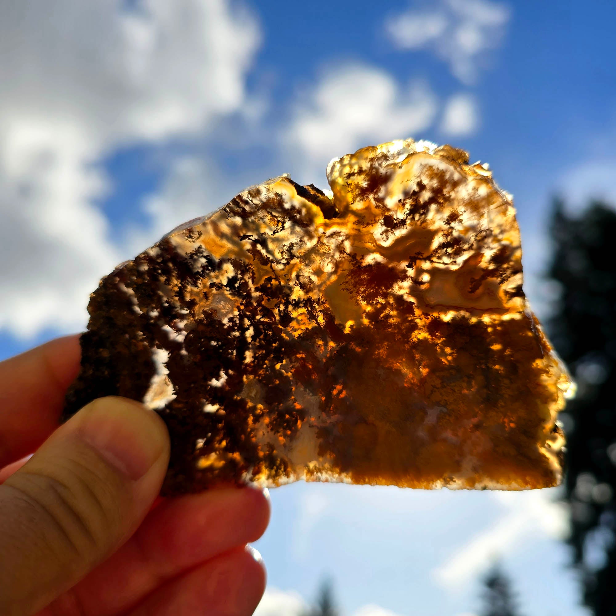 San Carlos Agate Slab – Orange Red Moss Detail Mexican #3750-Photo6