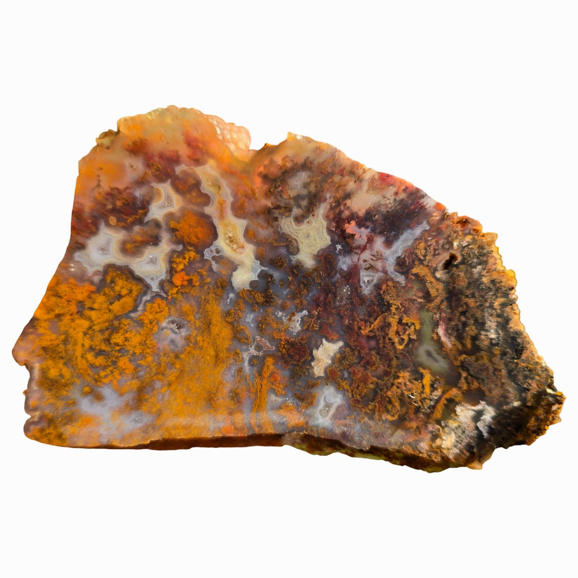 San Carlos Agate Slab Dry – Orange Red Moss Detail Mexican #3750-Photo7