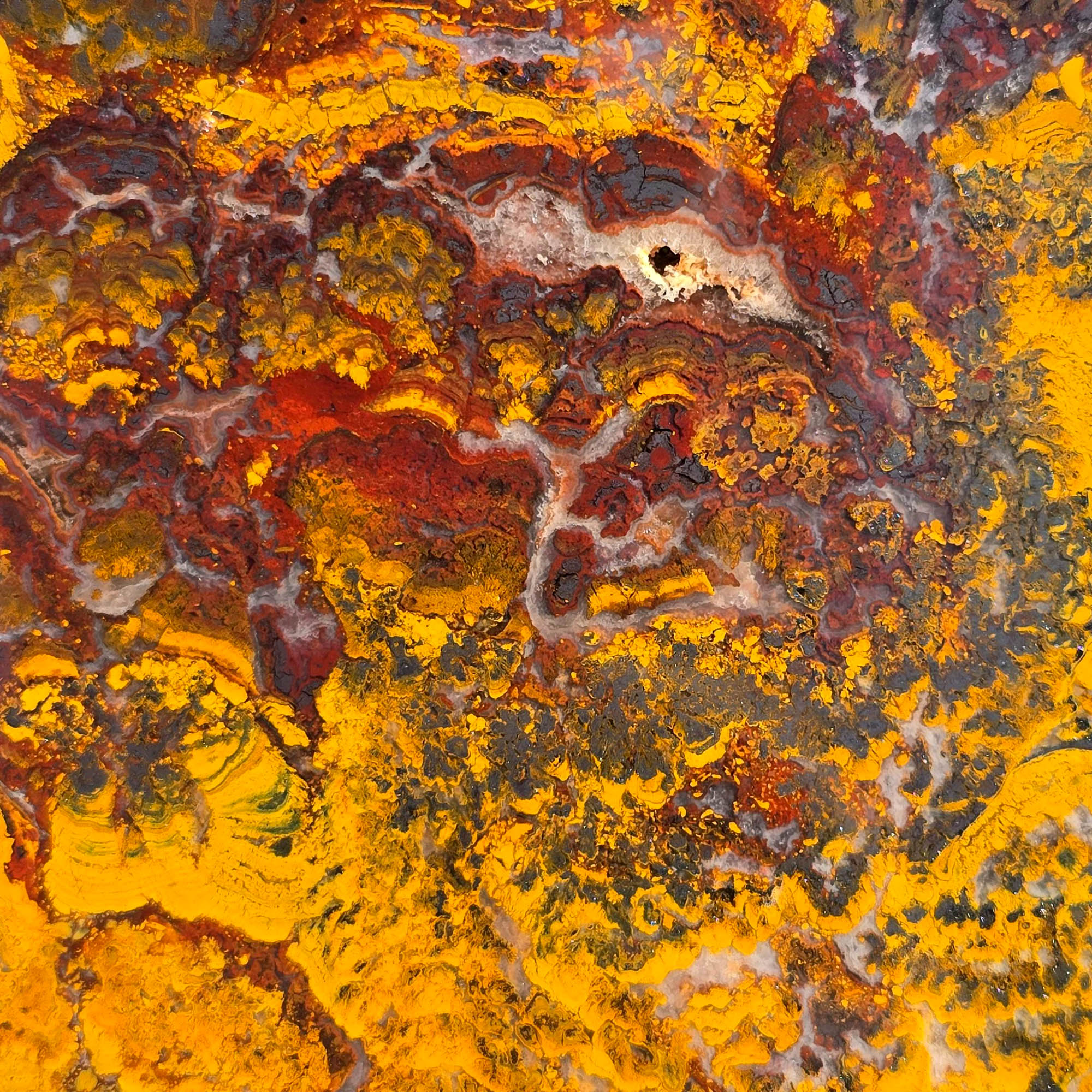 Apple Valley Jasper Slab - Wavy Brecciated Stromatolites Golden Hematite #3752-Photo2