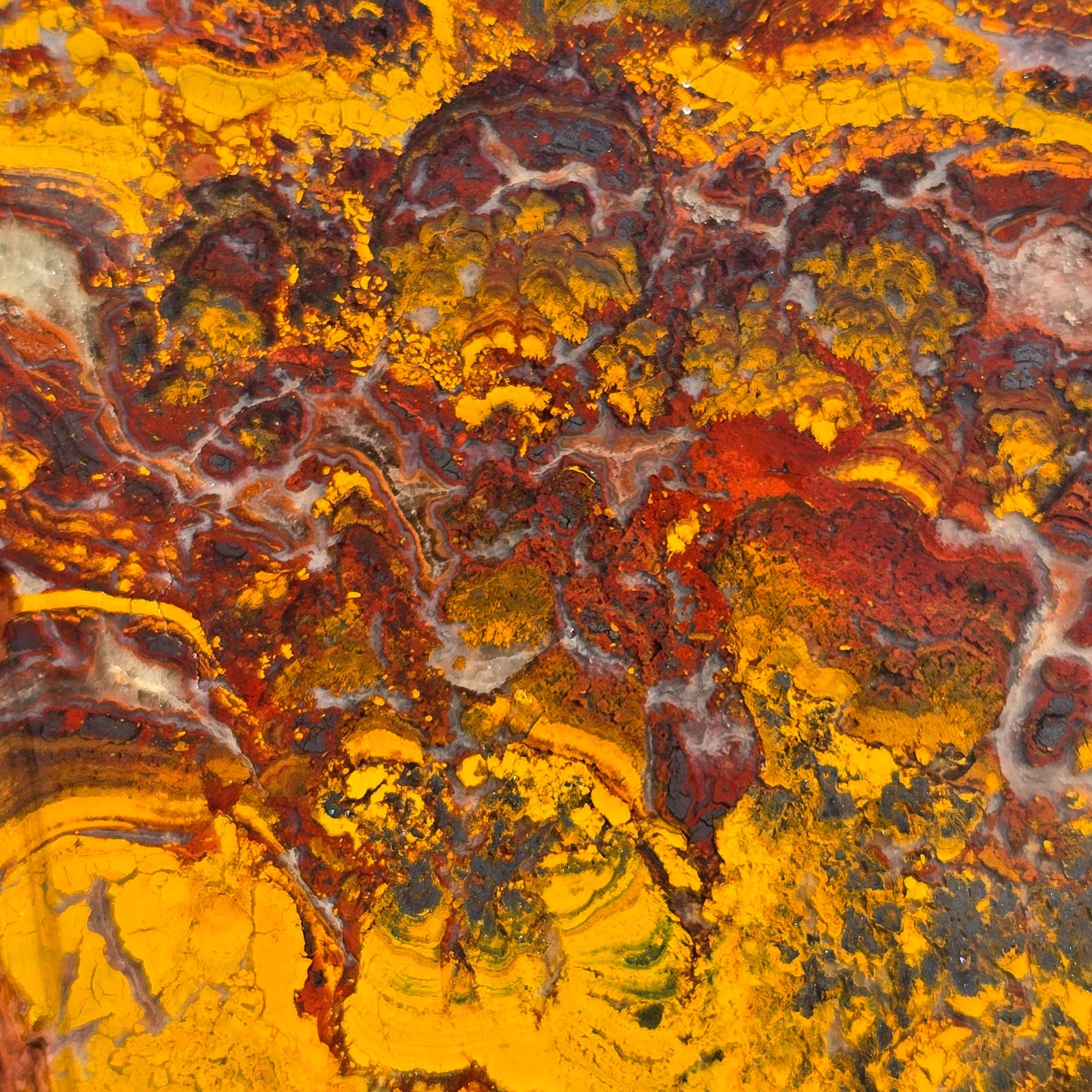 Apple Valley Jasper Slab - Wavy Brecciated Stromatolites Golden Hematite #3752-Photo3